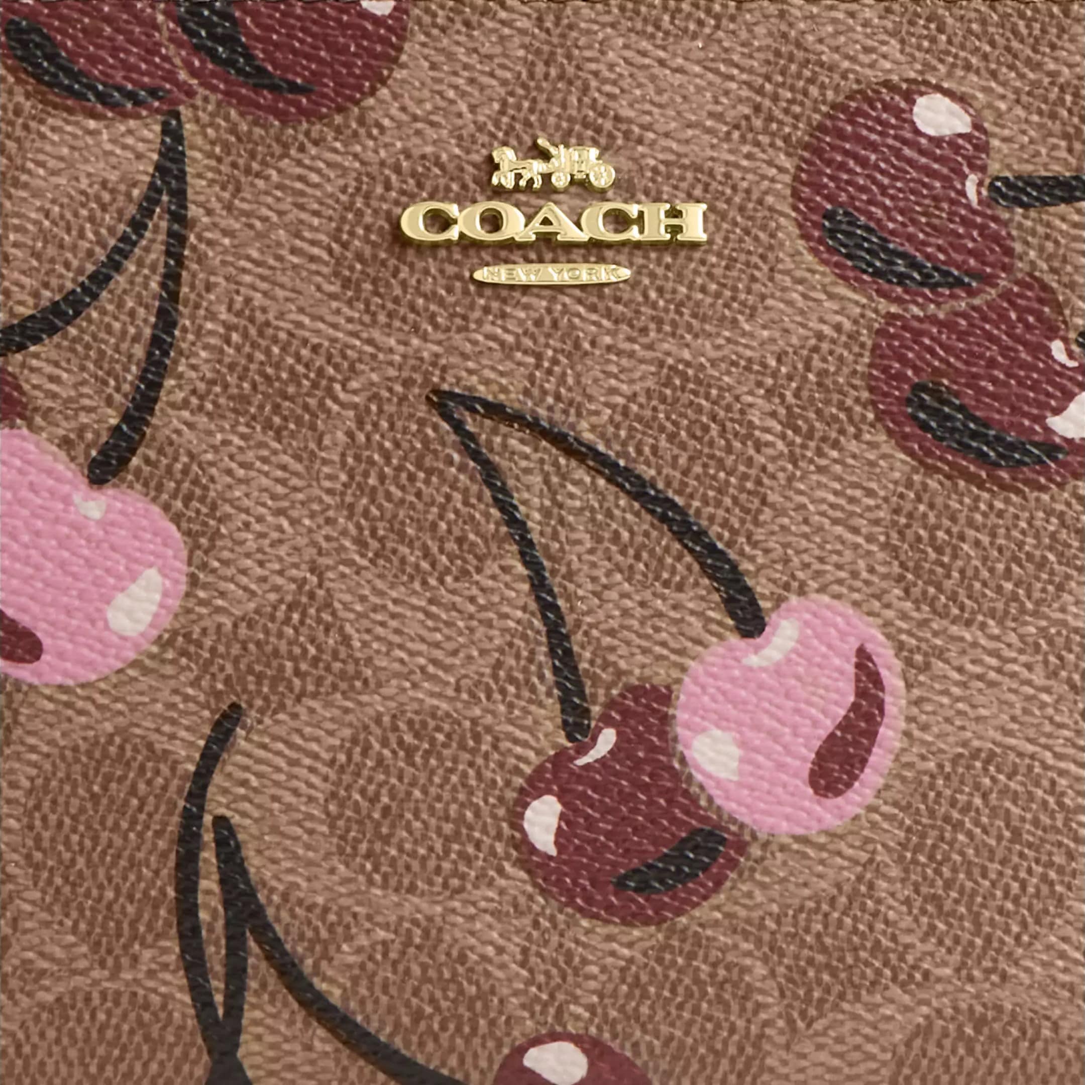 Túi Coach Nolita 19 In Signature Canvas With Cherry Print Tan Multi CZ011 3