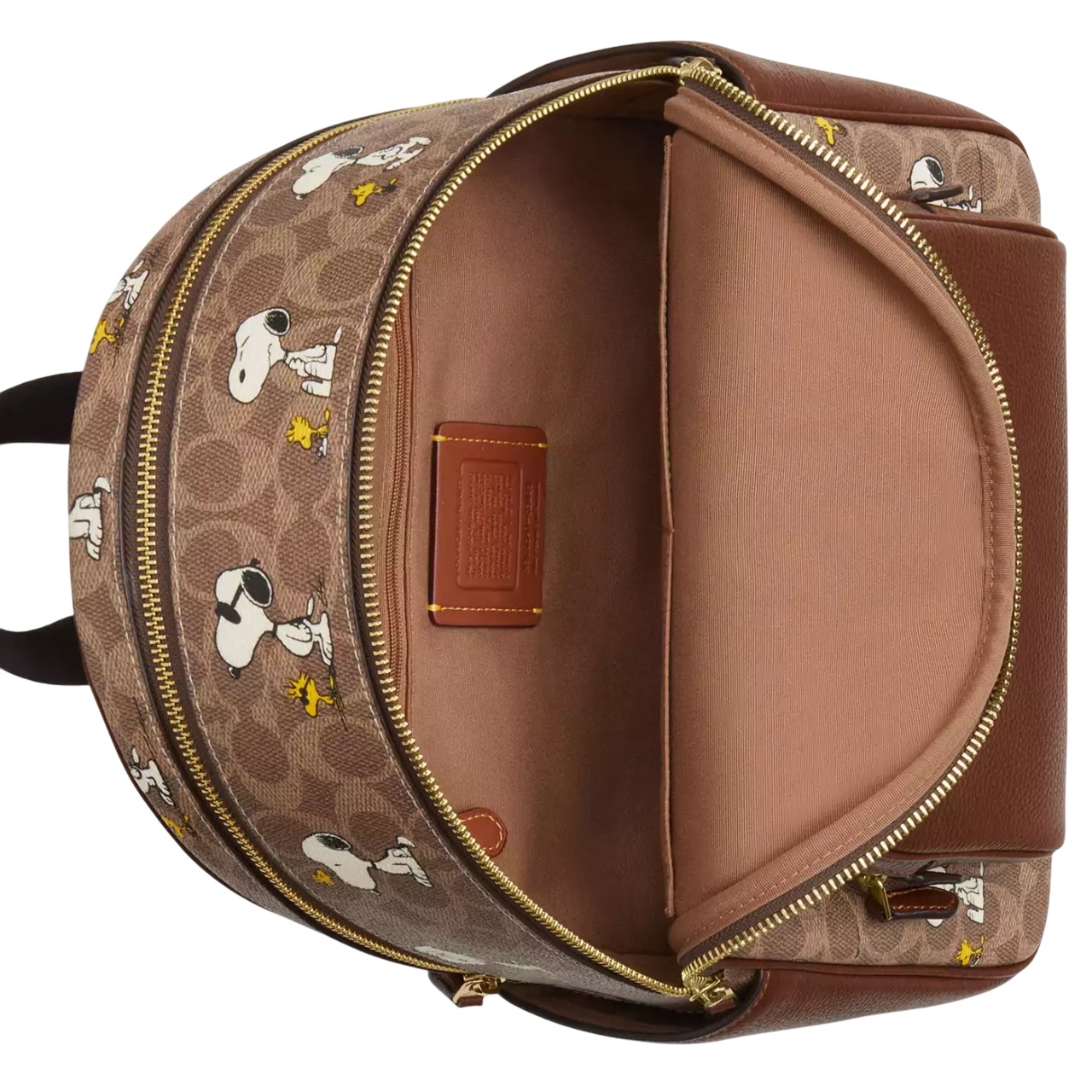 Balo Coach X Peanuts Court Backpack In Signature Canvas With Snoopy Print CBM25 7