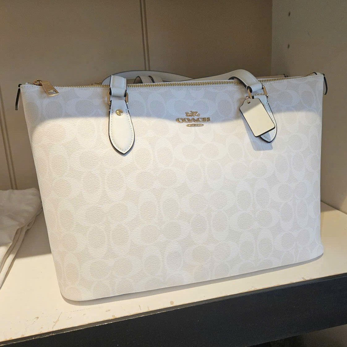 Túi Tote Nữ Coach Gallery Tote Bag In Signature Canvas Glacier White CW381 2
