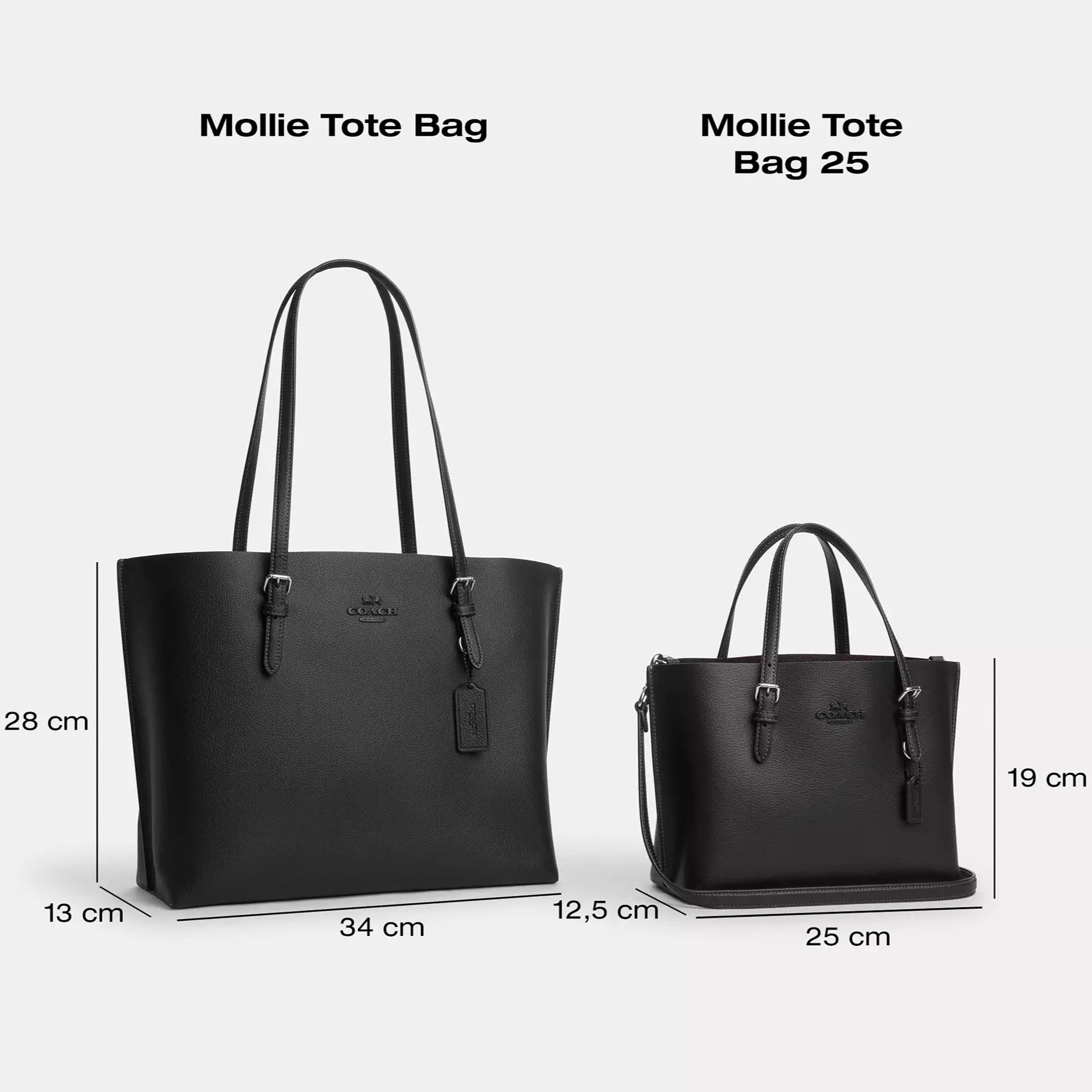 Túi Coach nữ Mollie Tote Bag In Signature Canvas Graphite Black 1665 4