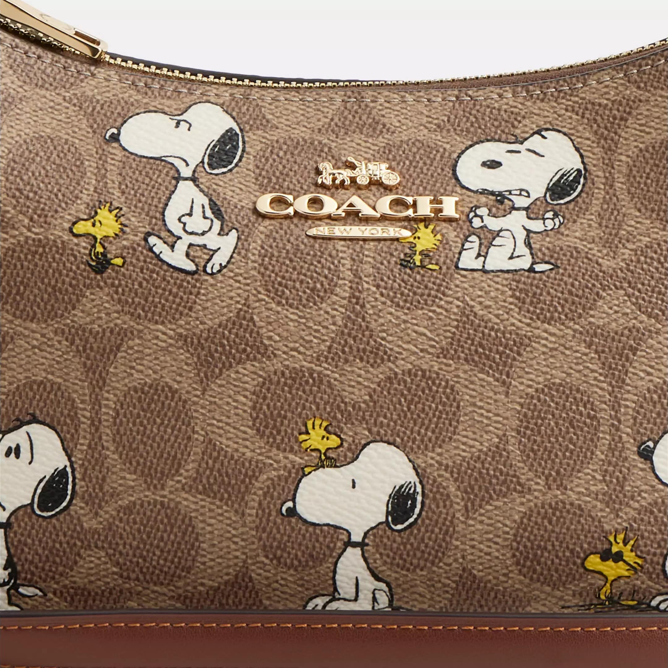 Túi Coach X Peanuts Teri Shoulder Bag In Signature Canvas With Snoopy Print CBJ88 9