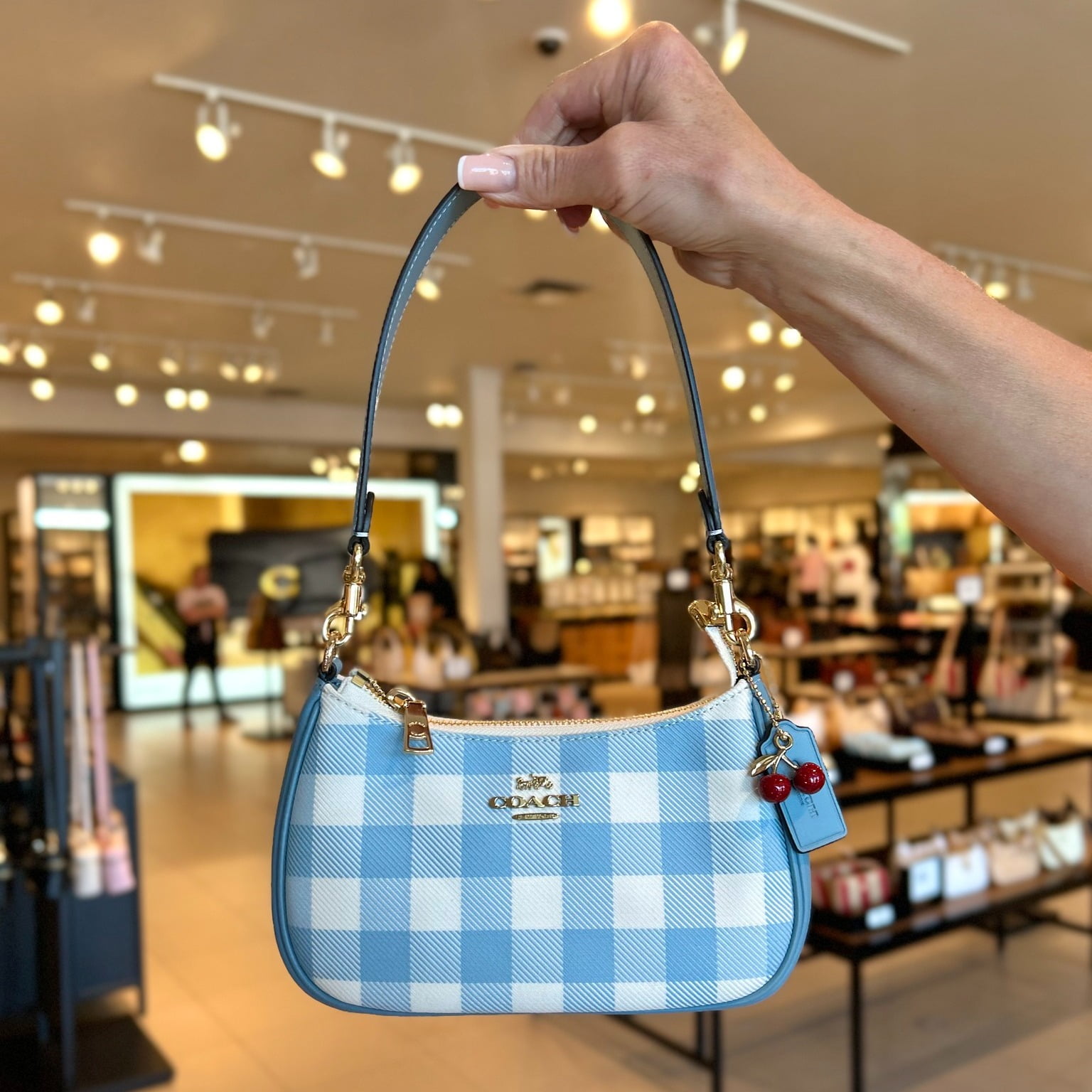 Túi Coach Teri Shoulder Bag With Gingham Print And Charm CES65 7