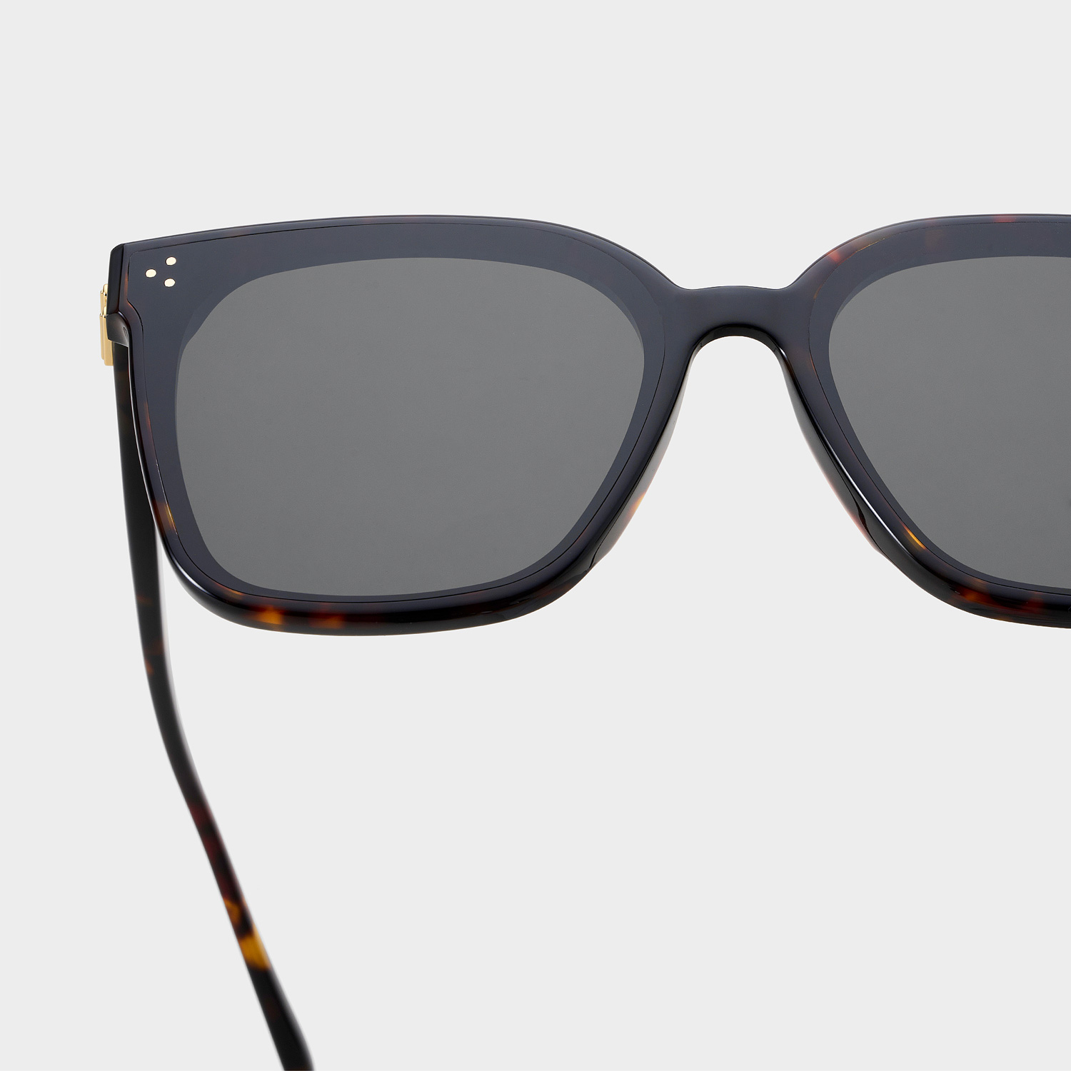 Kính Gentle Monster New Her T1 Classic Square Sunglasses With a Tortoise Acetate Frame 11