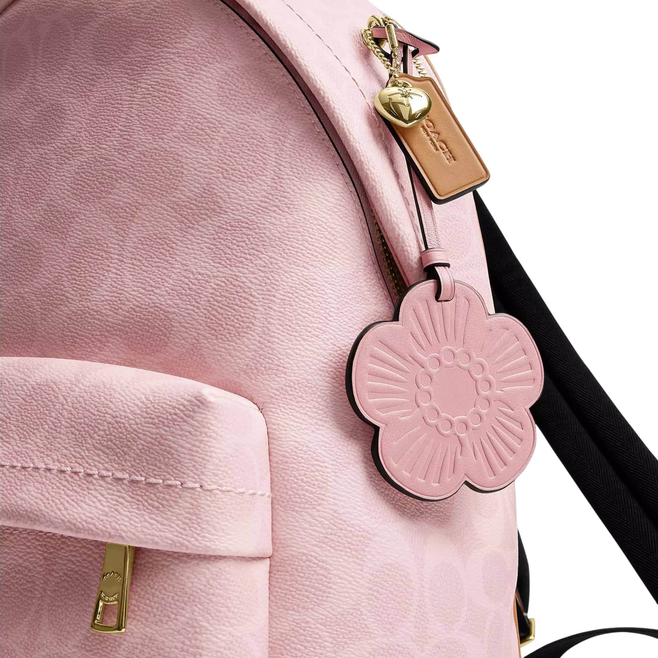 Balo Coach Taylor Small Backpack In Signature Canvas With Charms CEF46 1