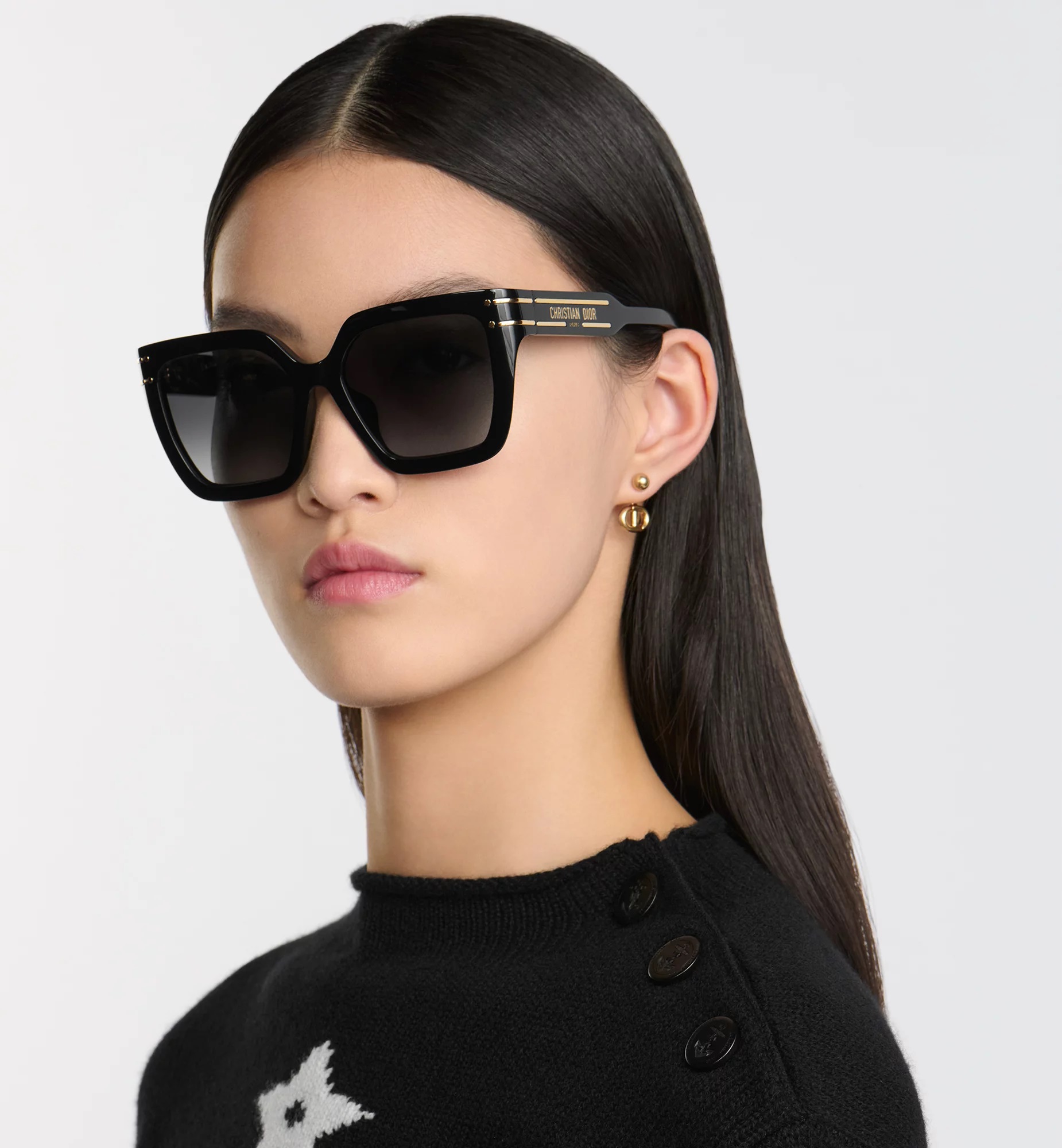 Mắt Kính Dior DiorSignature S10F Black Square Sunglasses 1