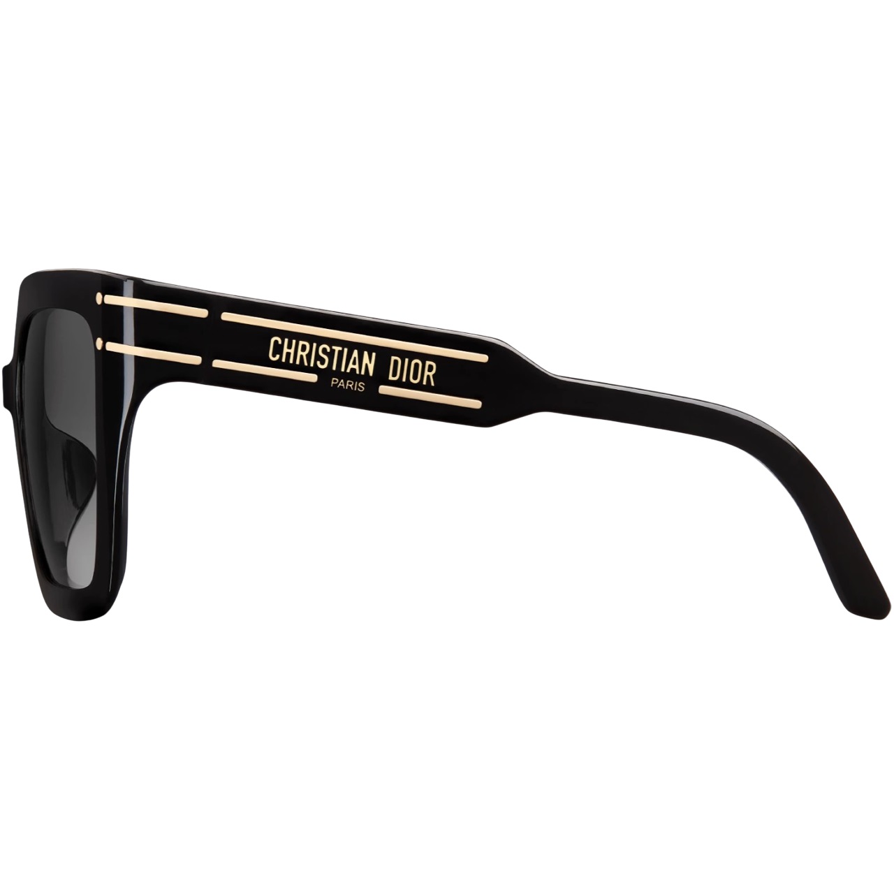 Mắt Kính Dior DiorSignature S10F Black Square Sunglasses 2