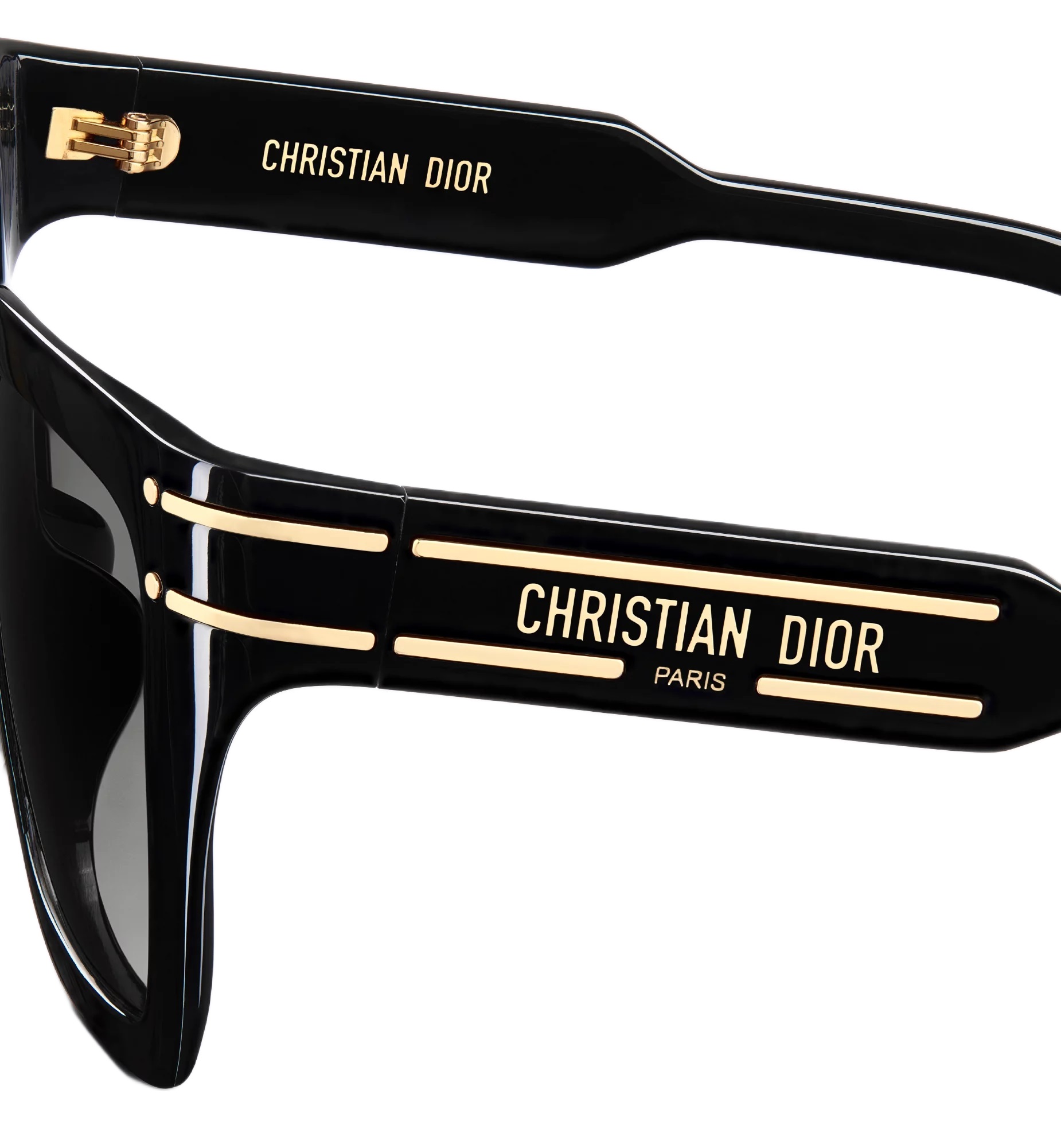 Mắt Kính Dior DiorSignature S10F Black Square Sunglasses 6