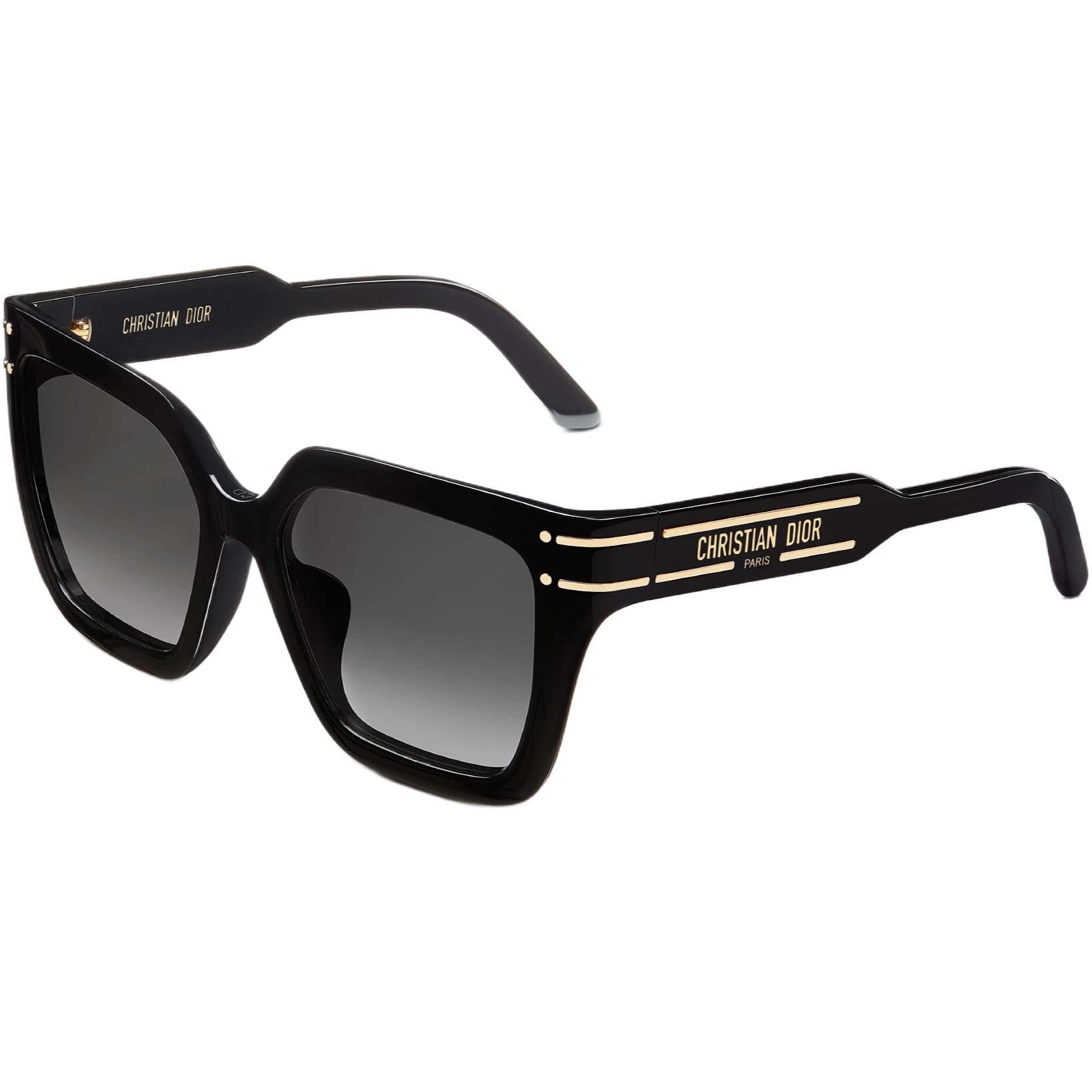 Mắt Kính Dior DiorSignature S10F Black Square Sunglasses 7