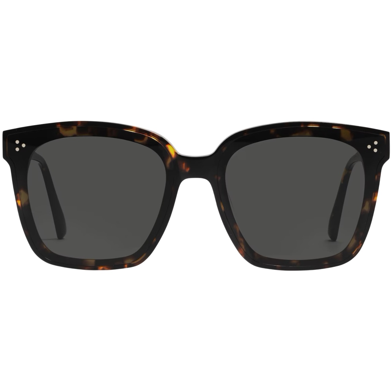 Kính Mát Gentle Monster Dreamer 17 T1 Black Lenses Oversized Square Flatbar Frame 4