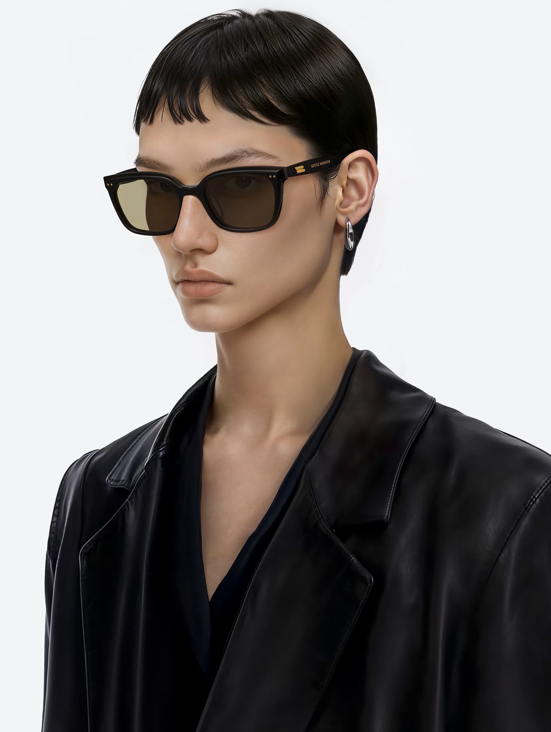 Mắt Kính Gentle Monster Breezebe 01(BR) Brown Lenses Black Acetate Frame 2