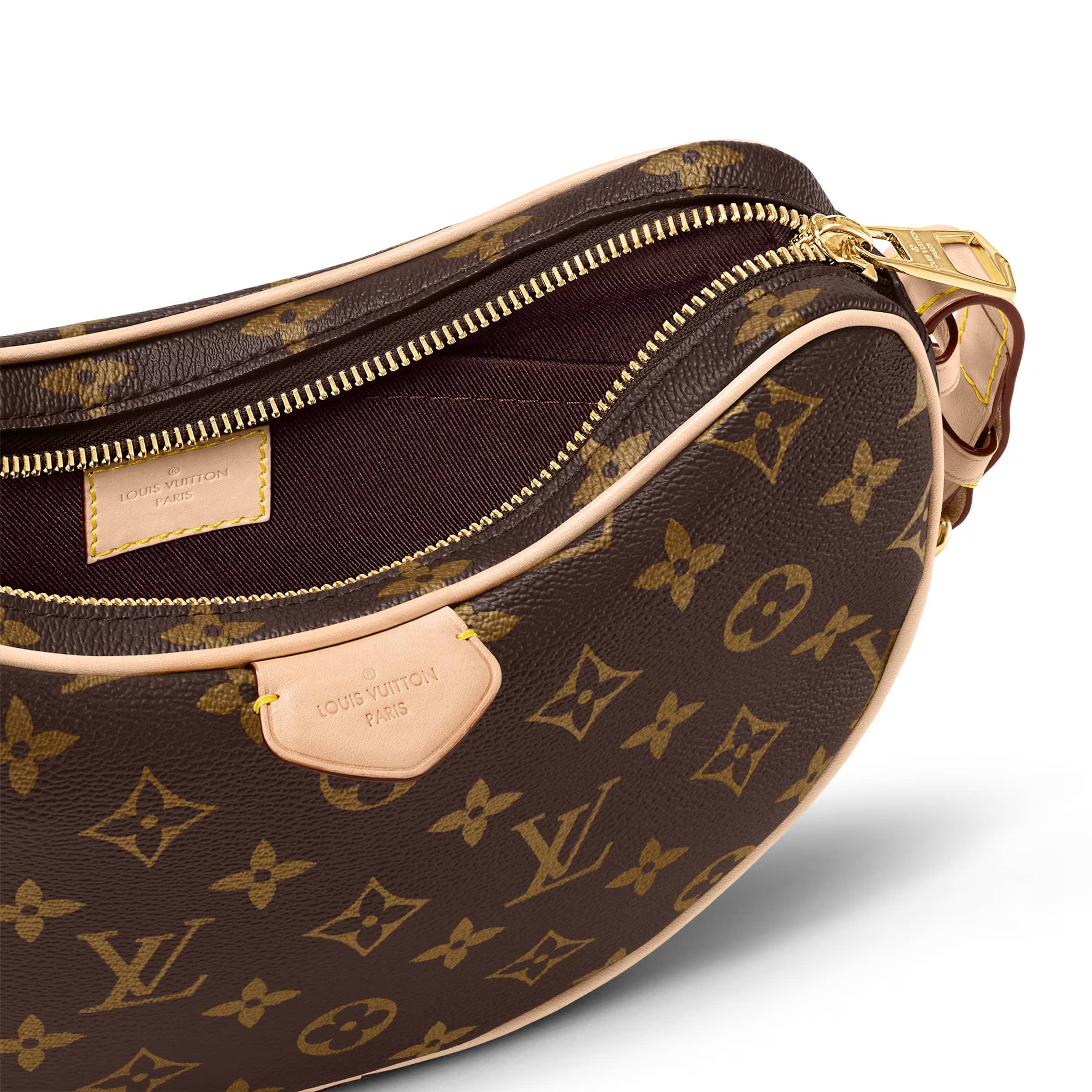 Túi xách nữ Louis Vuitton LV Croissant MM Monogram Coated Canvas 1