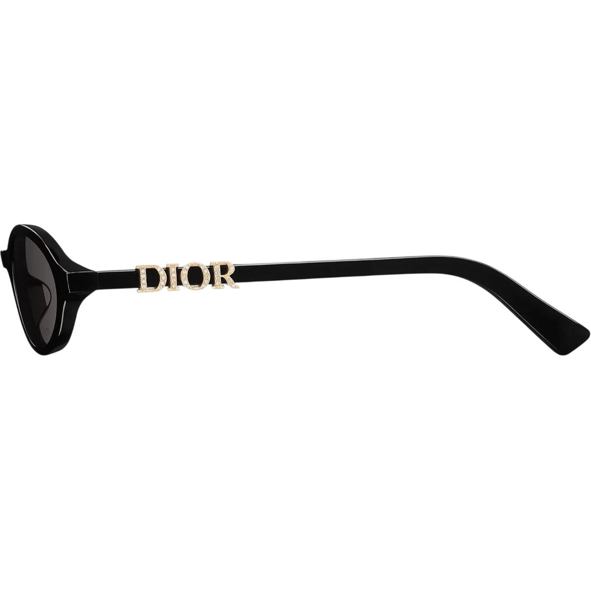 Kính mát DiorTreasure R1I Black Oval Sunglasses 4