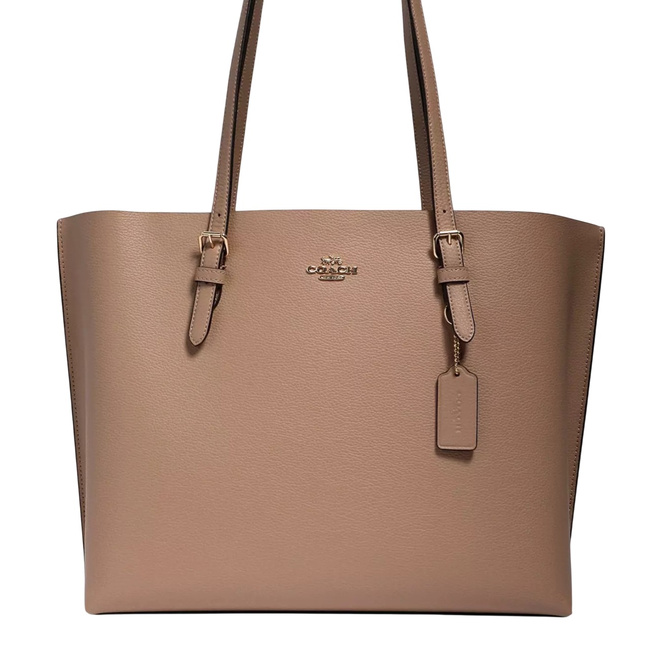 Túi Coach Mollie Tote Bag Gold Taupe Oxblood 1671 3