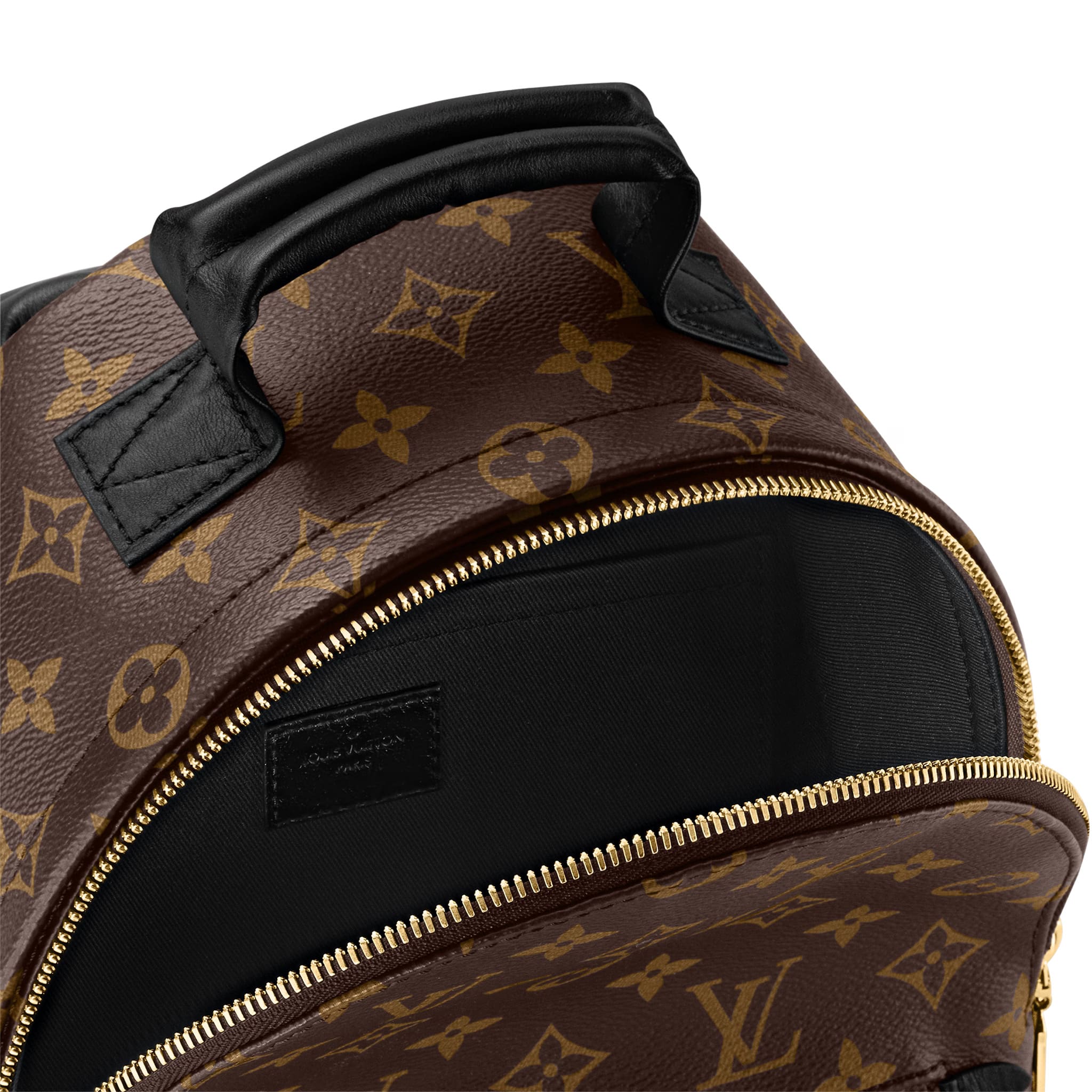 BA LÔ NỮ LOUIS VUITTON PALM SPRINGS MM MONOGRAM CANVAS 4