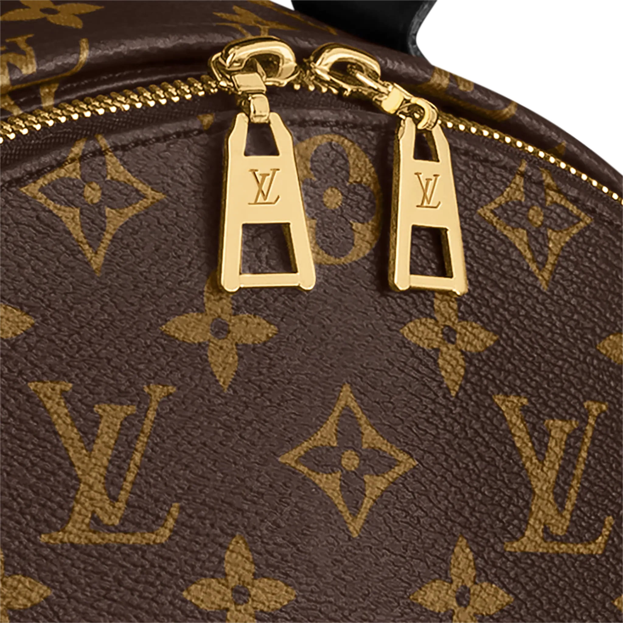 BA LÔ NỮ LOUIS VUITTON PALM SPRINGS MM MONOGRAM CANVAS 9