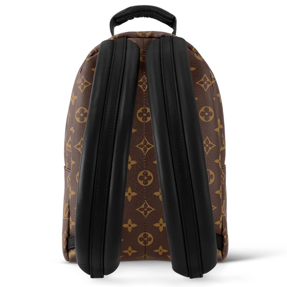 BA LÔ LV NỮ LOUIS VUITTON PALM SPRINGS PM MONOGRAM CANVAS 4
