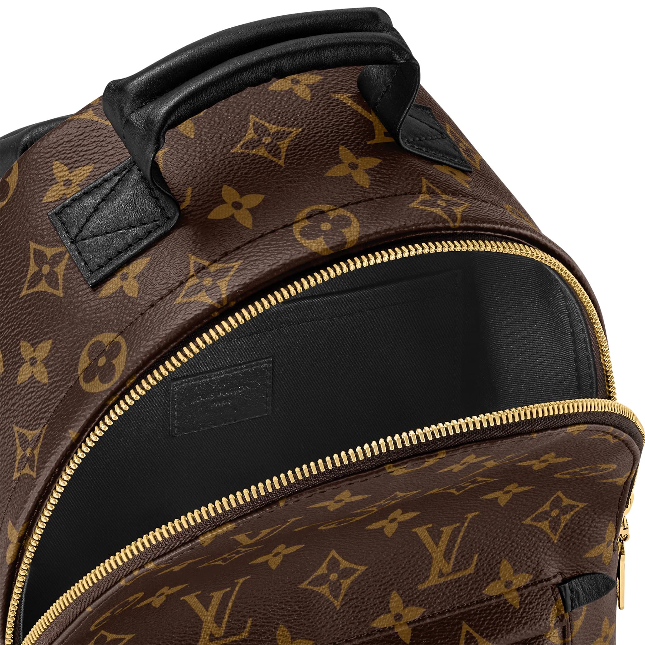 BA LÔ LV NỮ LOUIS VUITTON PALM SPRINGS PM MONOGRAM CANVAS 5