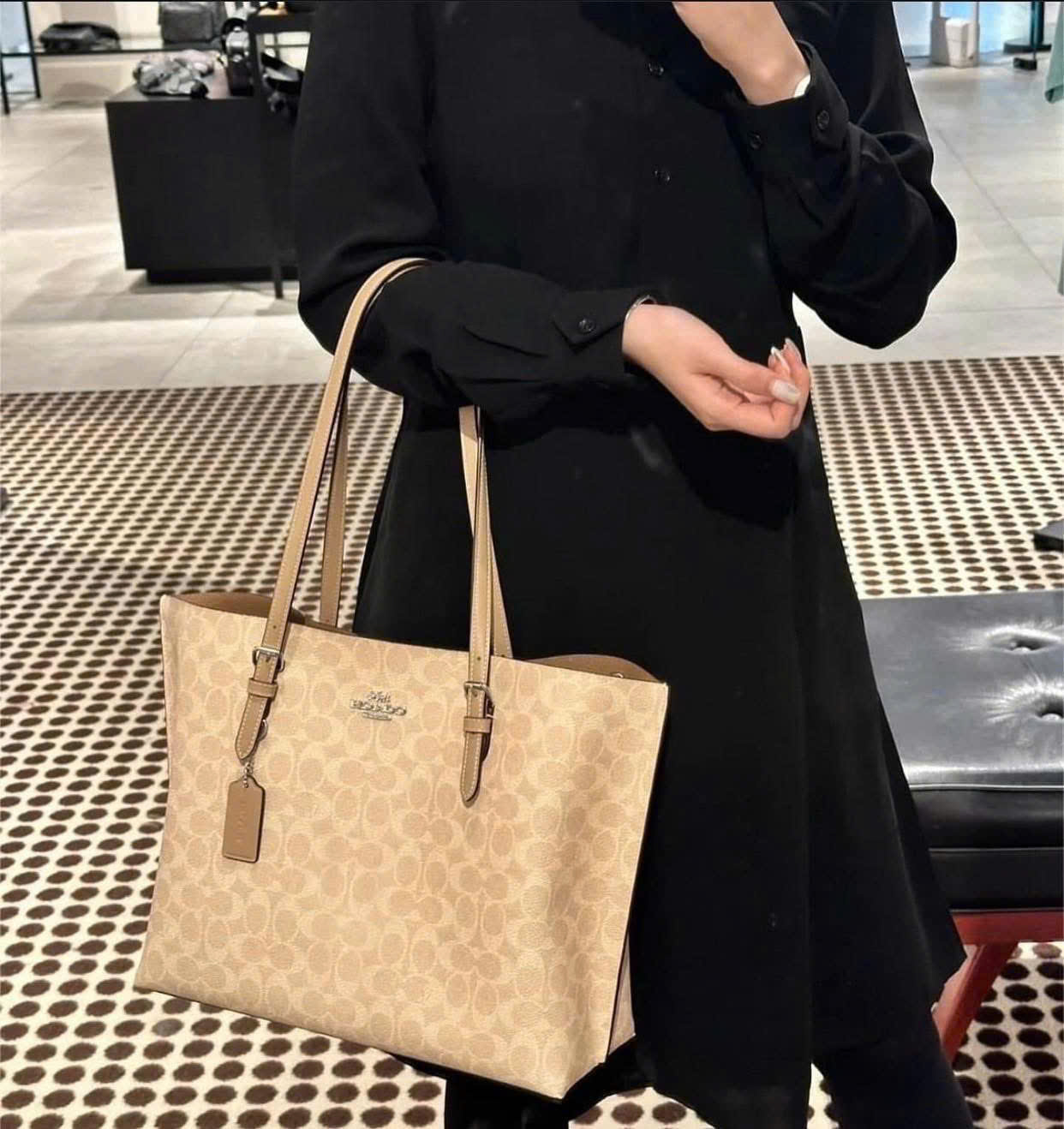 Túi Coach nữ Mollie Tote Bag In Signature Canvas Silver Sand CV967 3