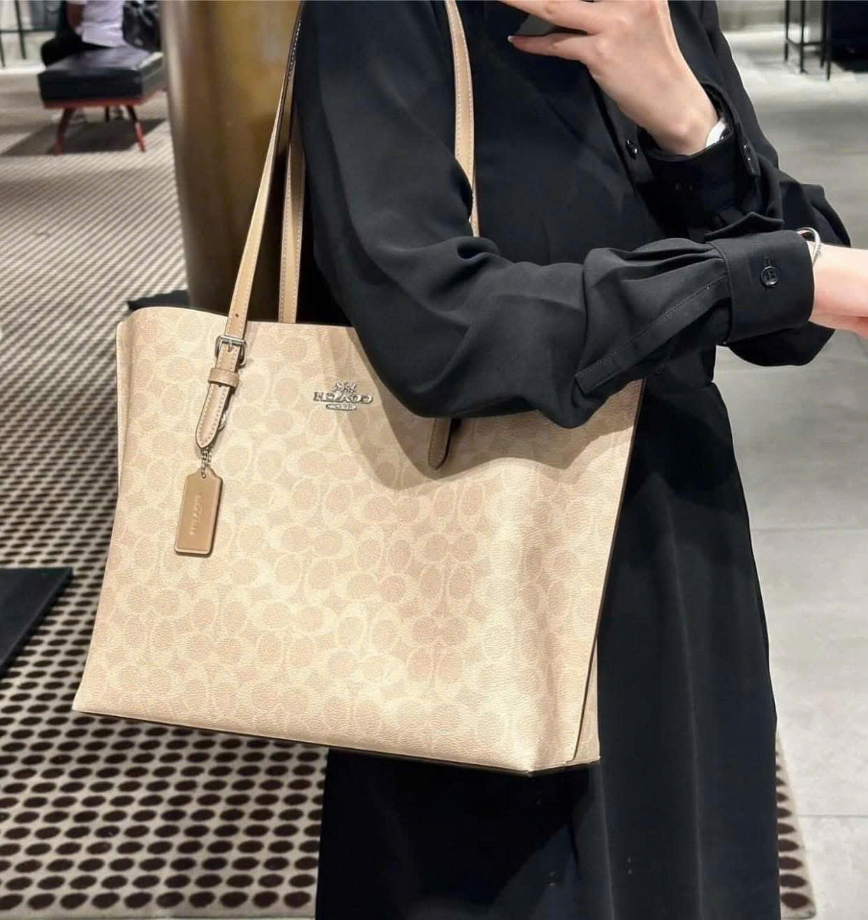 Túi Coach nữ Mollie Tote Bag In Signature Canvas Silver Sand CV967 8