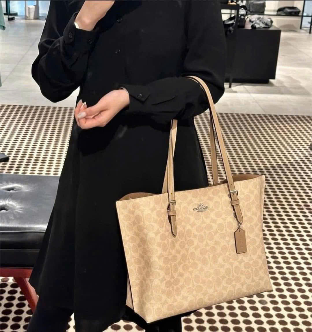 Túi Coach nữ Mollie Tote Bag In Signature Canvas Silver Sand CV967 9
