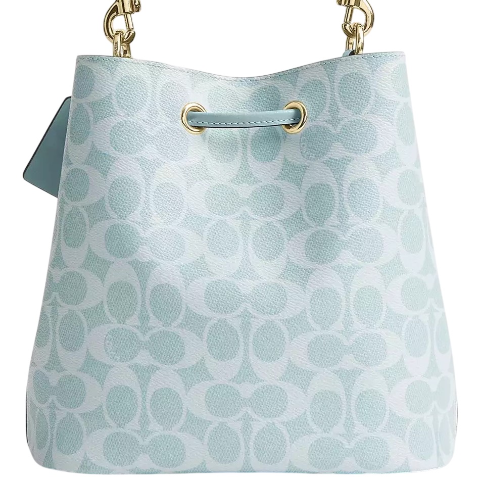 Túi Bucket Coach Rowan Exclusive Canvas Bucket Bag Pale Blue CEZ36 2