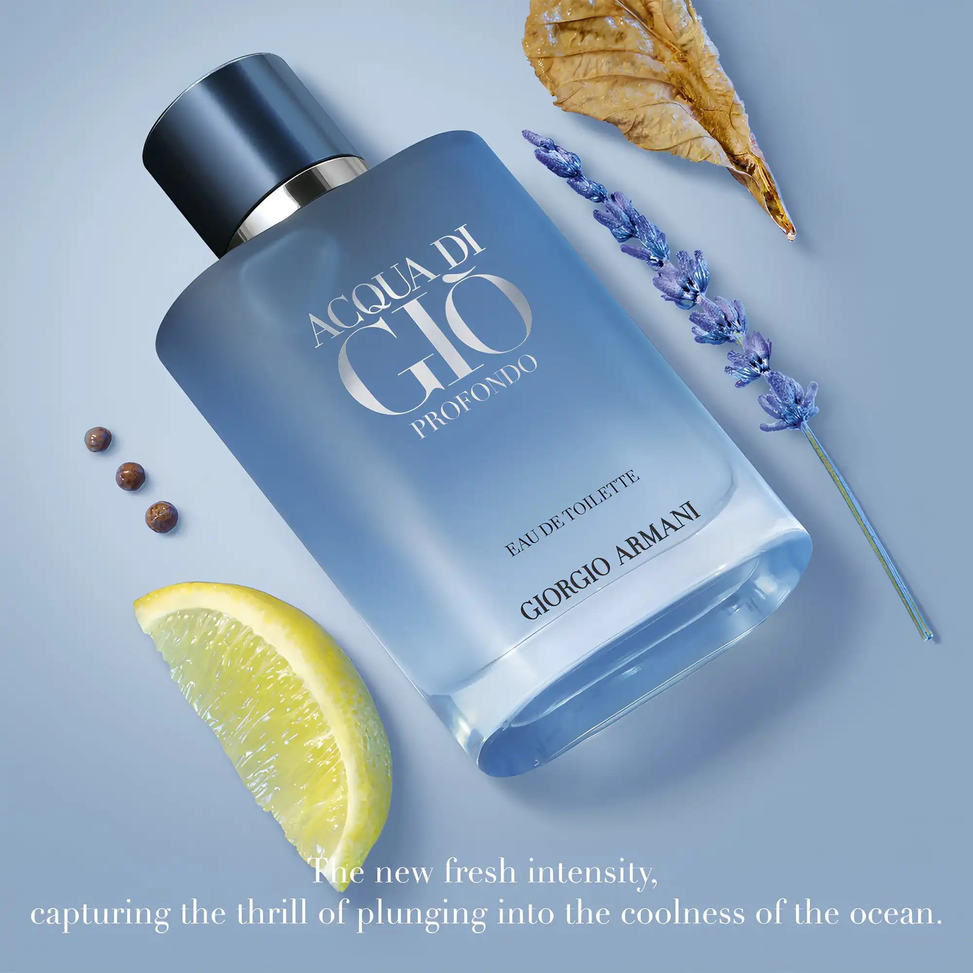 Nước hoa nam Giorgio Armani Acqua di Giò Profondo Eau De Toilette 6