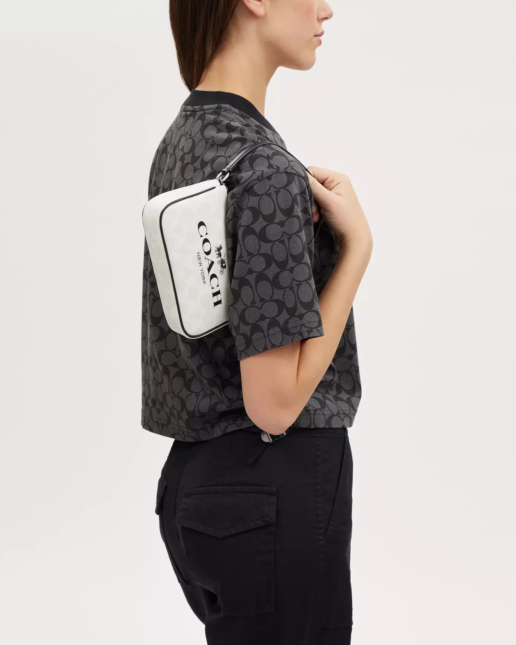 TÚI COACH NOLITA 19 IN SIGNATURE CANVAS SILVER CHALK MULTI CP252 2