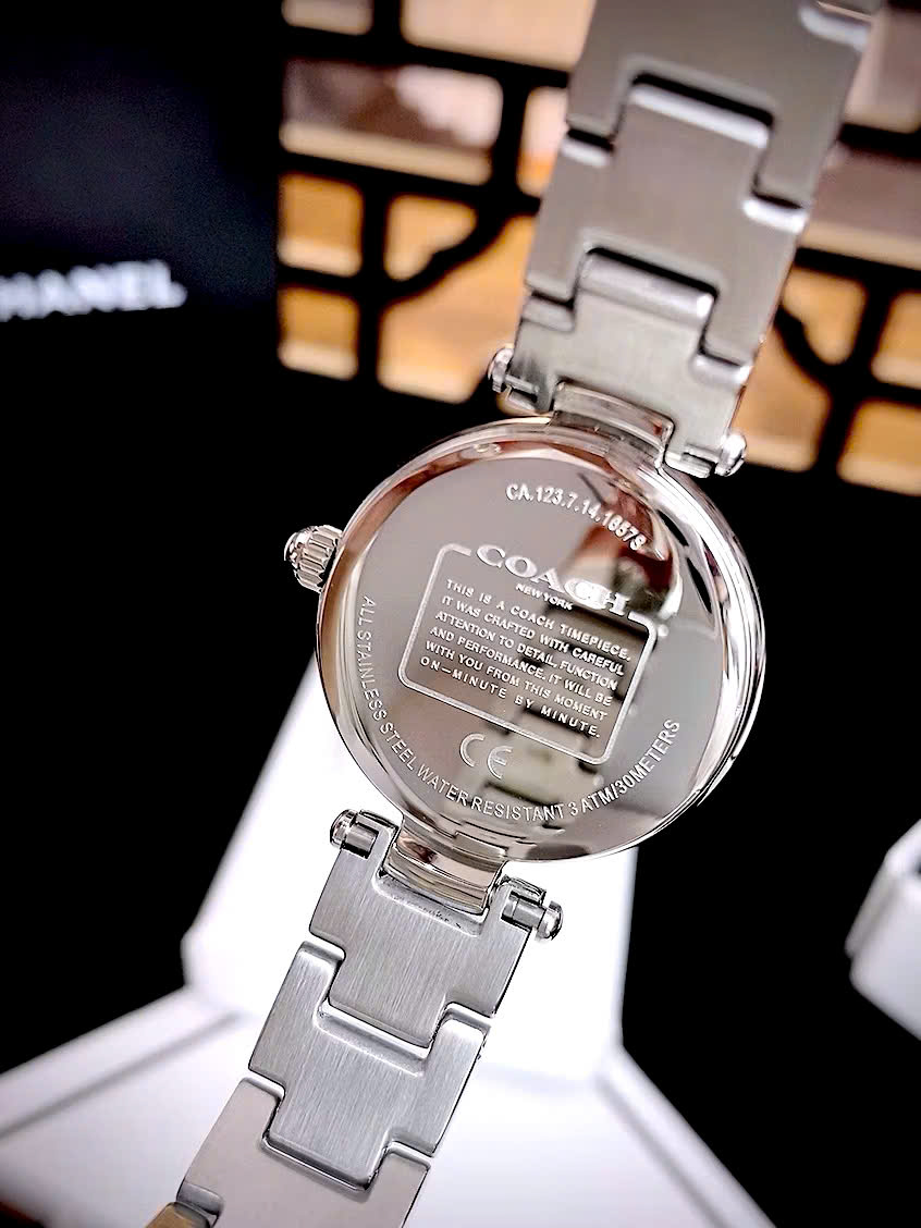 Đồng hồ nữ Coach Park Mother of Pearl Blue Dial Silver Steel Strap Watch for Women 14503224 3