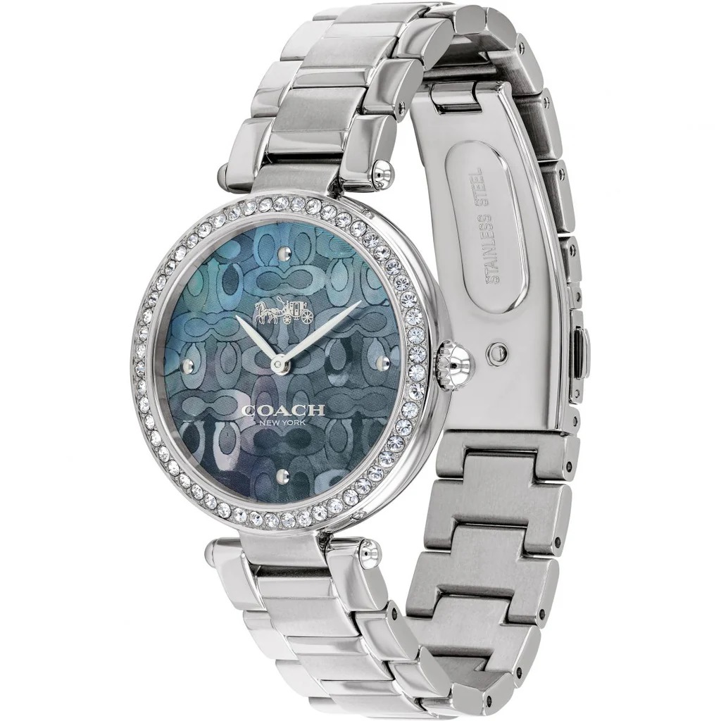 Đồng hồ nữ Coach Park Mother of Pearl Blue Dial Silver Steel Strap Watch for Women 14503224 4
