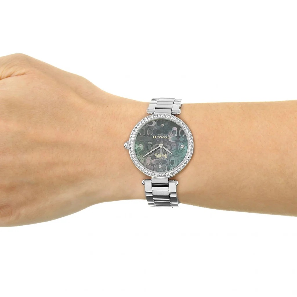 Đồng hồ nữ Coach Park Mother of Pearl Blue Dial Silver Steel Strap Watch for Women 14503224 7