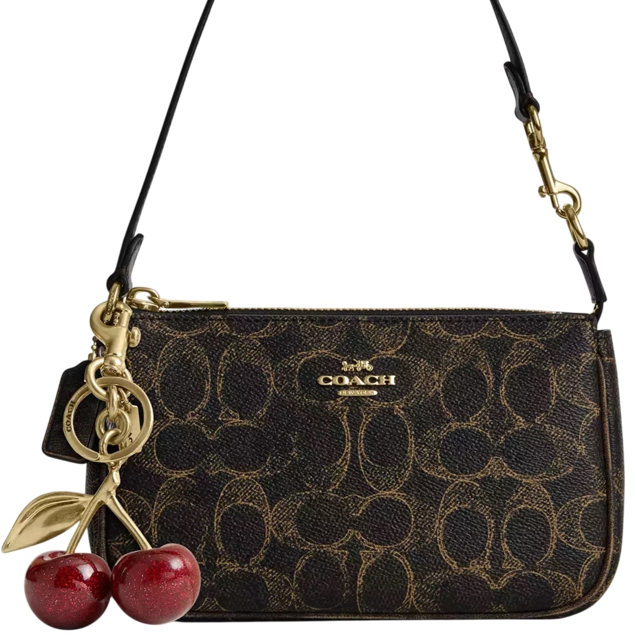 Túi Coach Nolita 19 In Loved Signature Canvas With Charms CDW32 6
