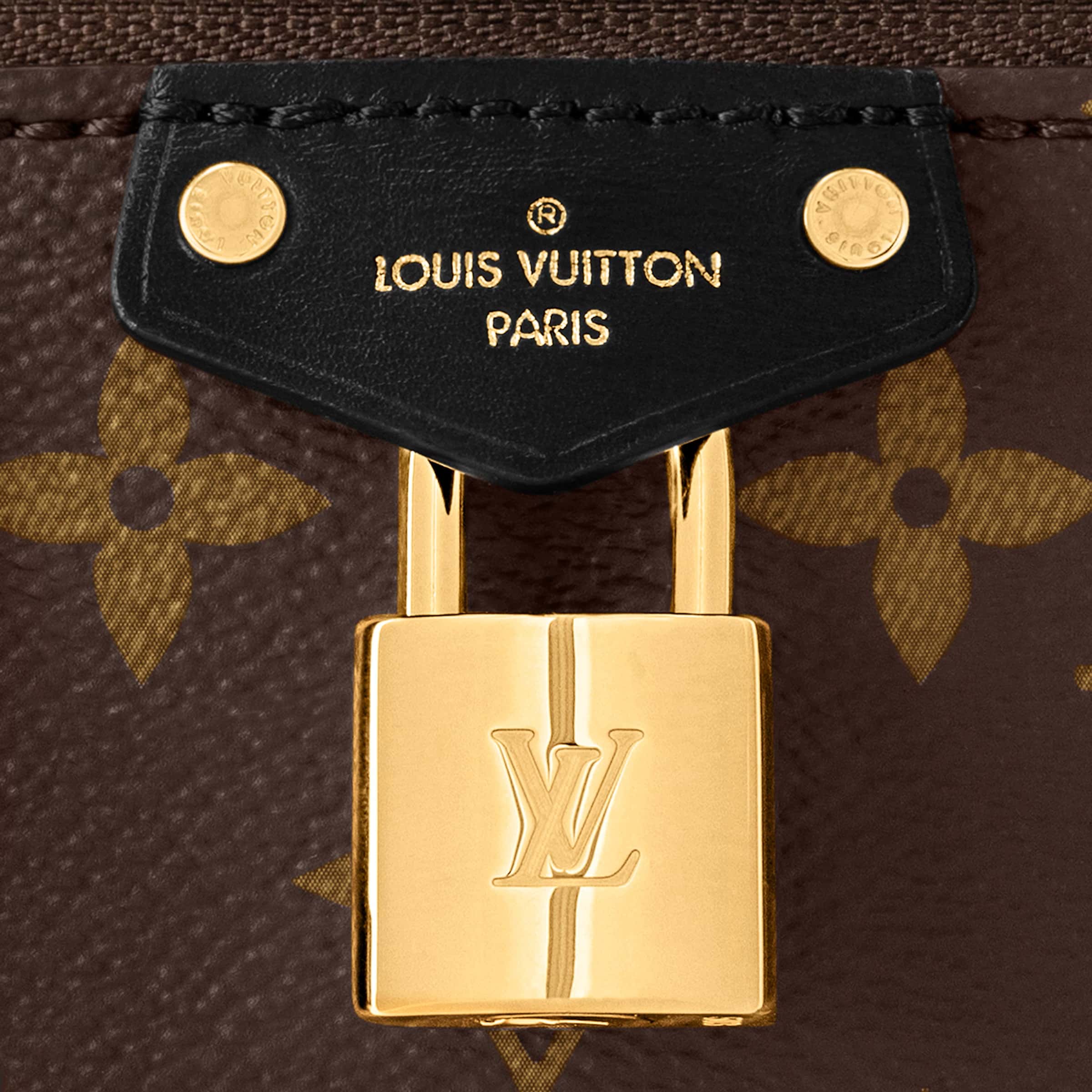 Túi Louis Vuitton Vanity Chain Pouch Monogram Canvas 4