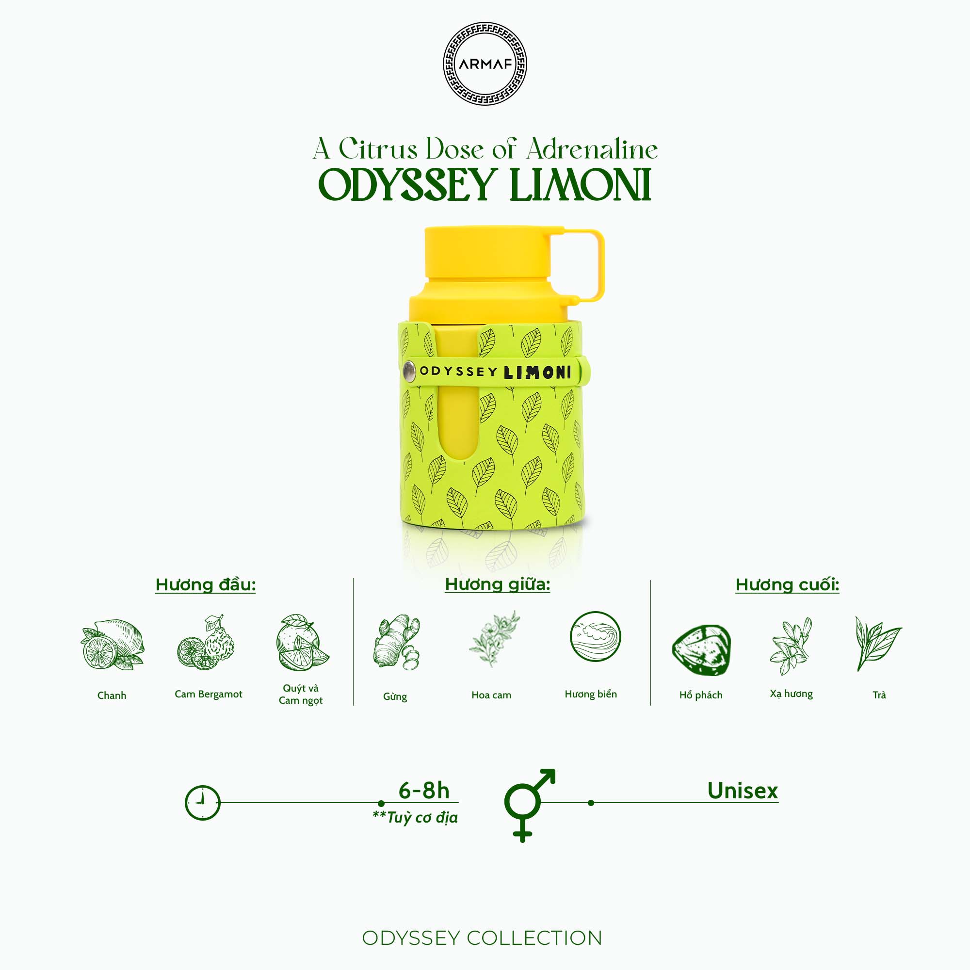 Nước Hoa Armaf Odyssey Limoni Fresh Edition Eau de Parfum 4
