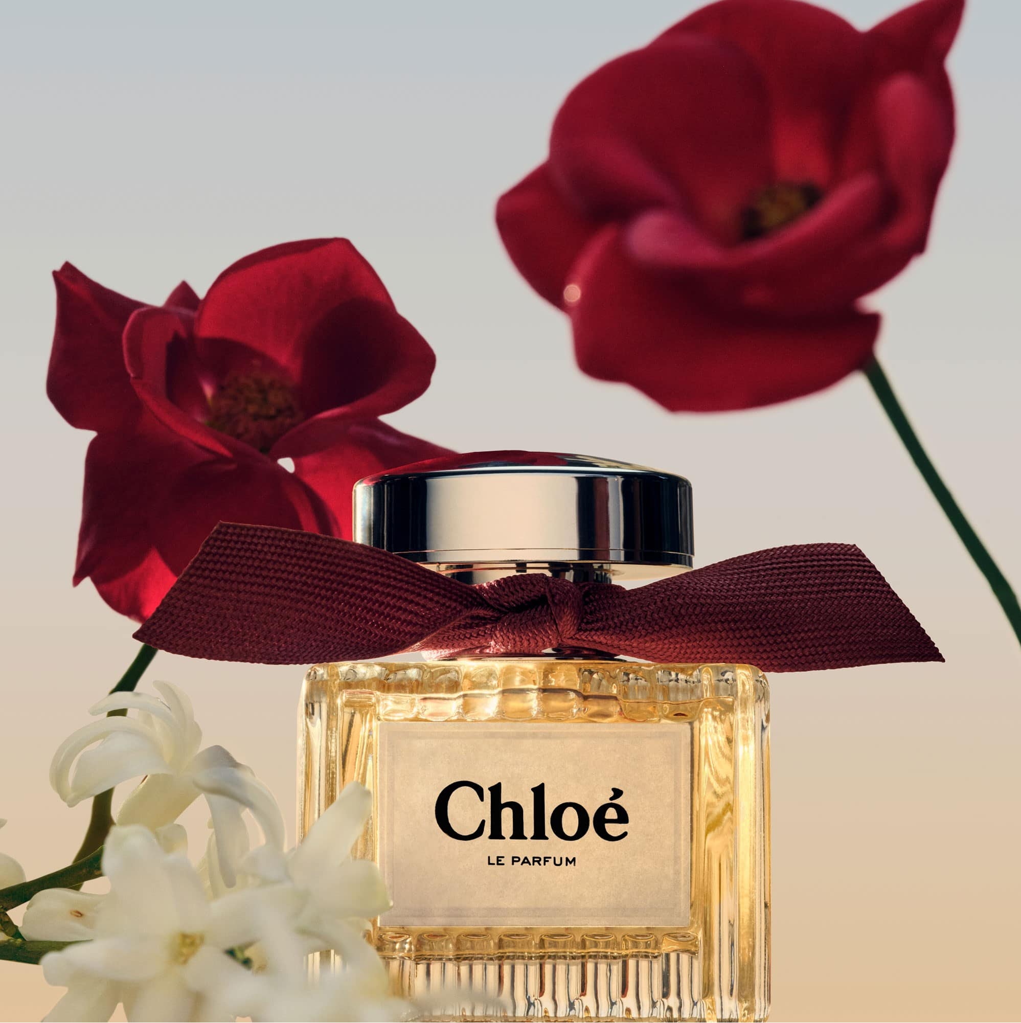 Nước Hoa Nữ Chloe Le Parfum 17