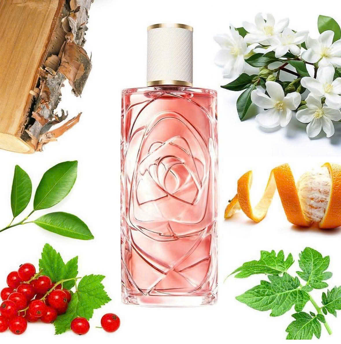 Nước Hoa Lancome Ôver The Top Eau De Toilette 8