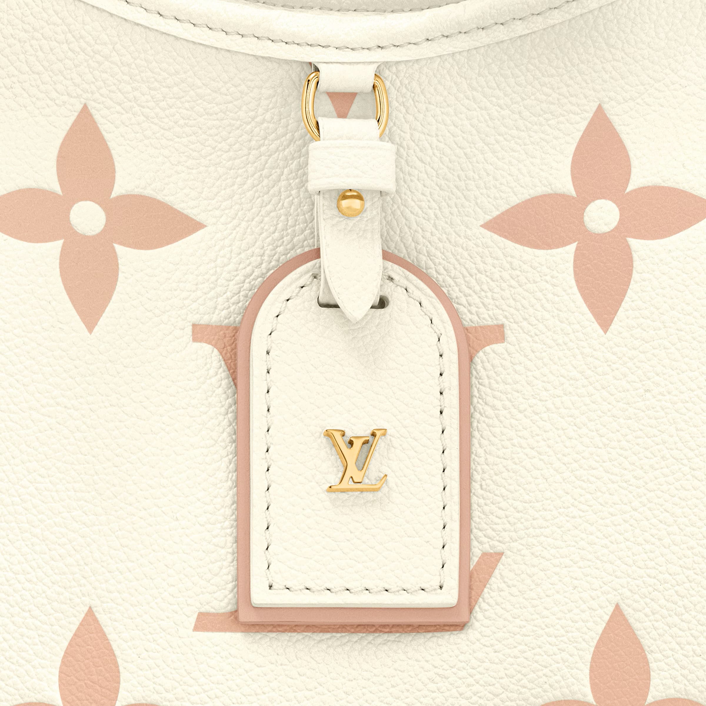 Túi Louis Vuitton CarryAll PM Bicolor Monogram Empreinte Leather Latte Chamallow 1