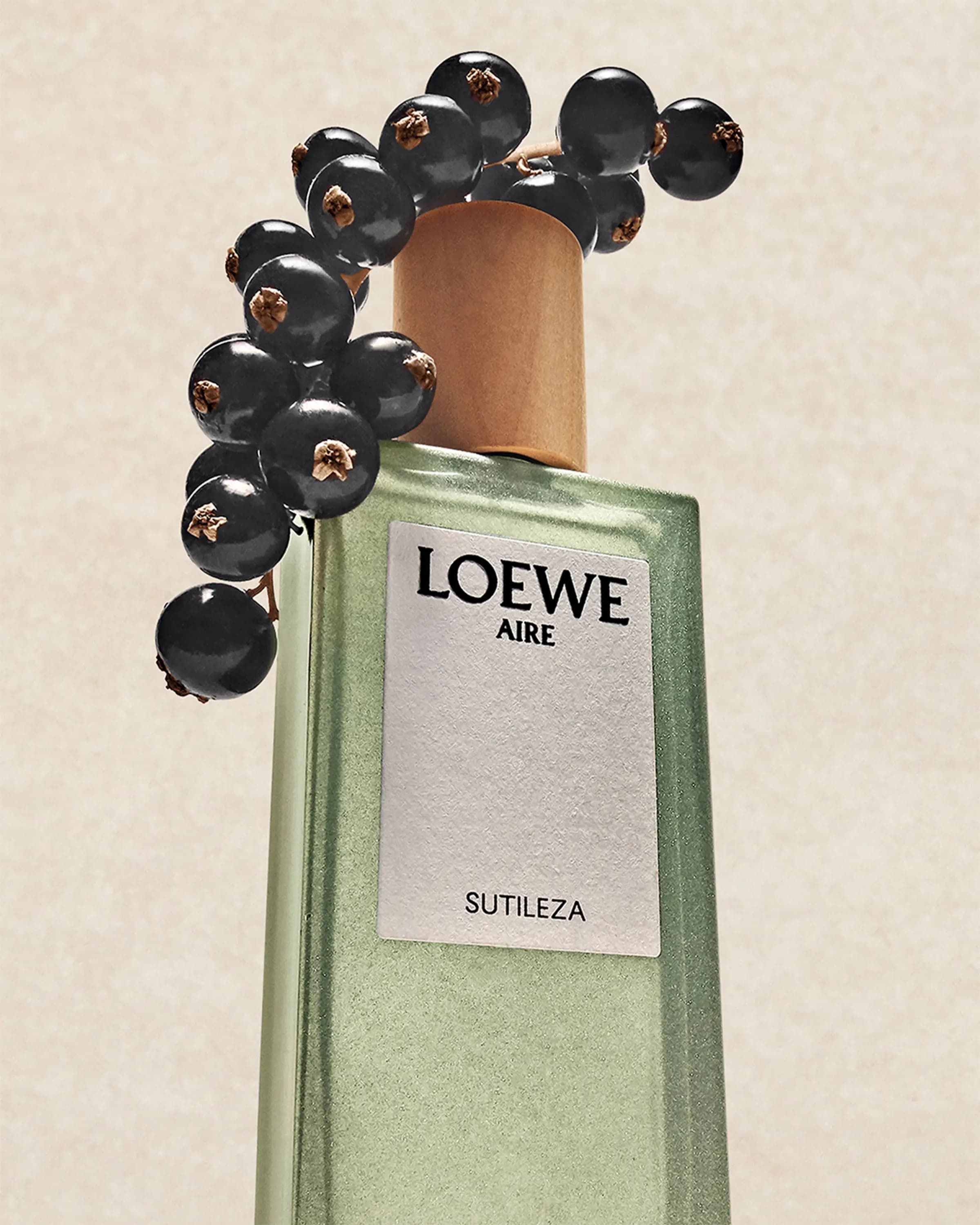 Nước Hoa Nữ Loewe Aire Sutileza Eau De Toilet 4
