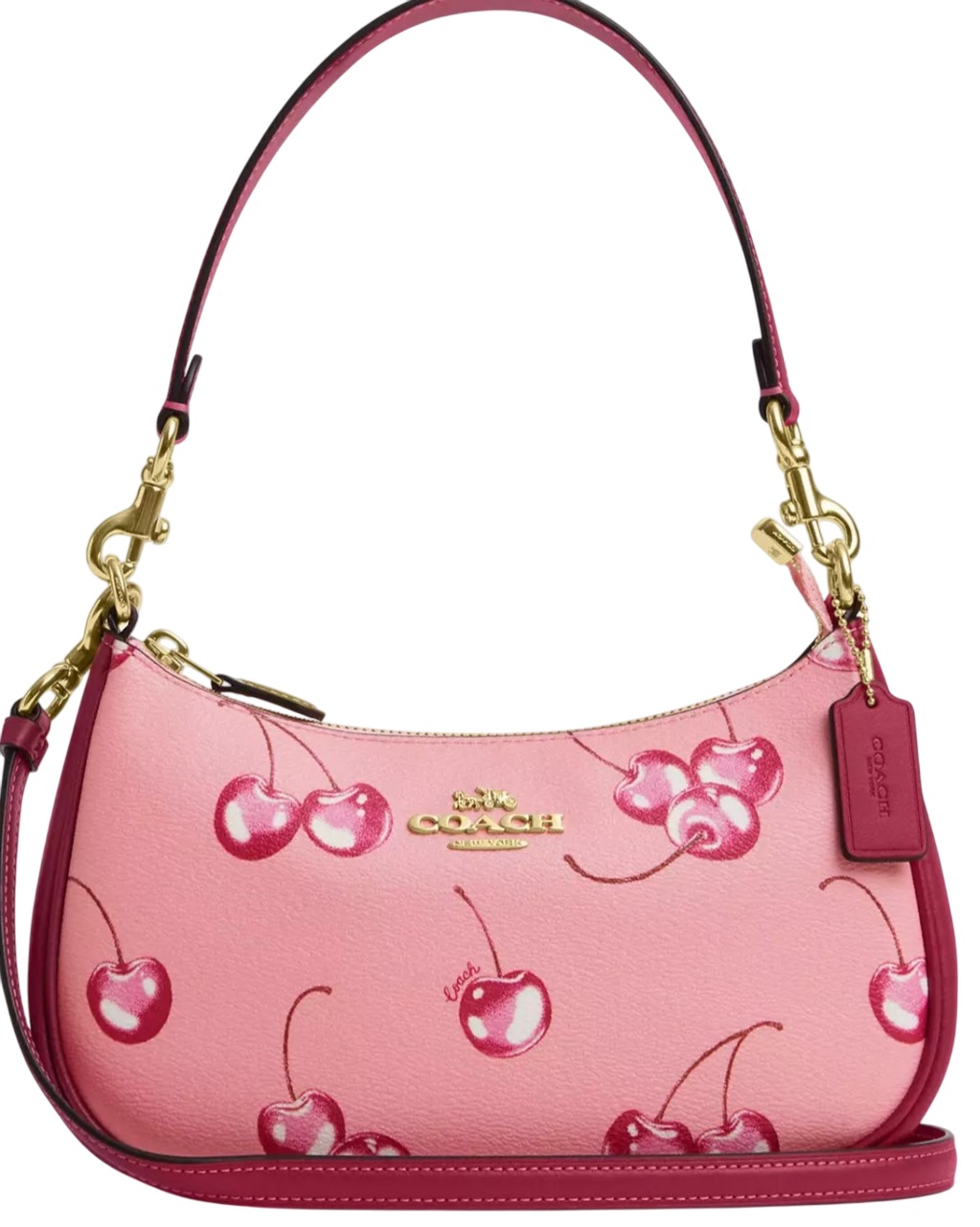 Túi Coach Teri Shoulder Bag In Cherry Print CR290 2