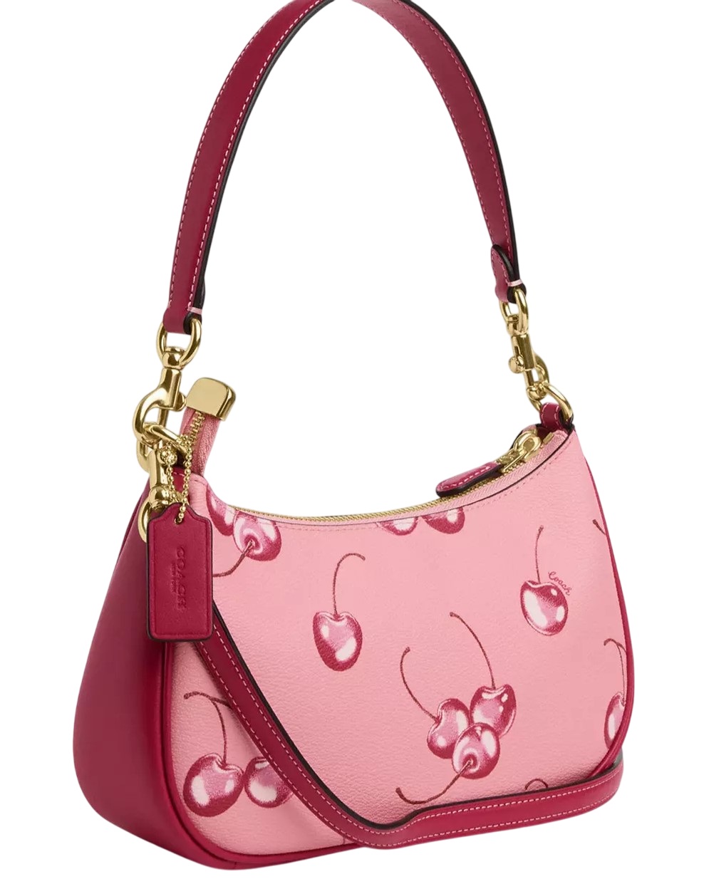 Túi Coach Teri Shoulder Bag In Cherry Print CR290 3