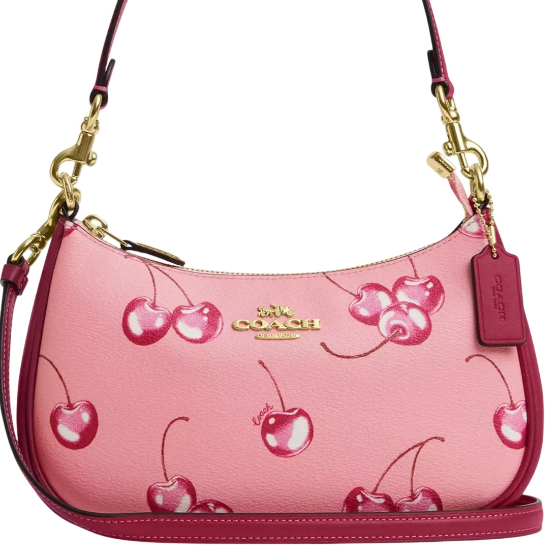 Túi Coach Teri Shoulder Bag In Cherry Print CR290 5