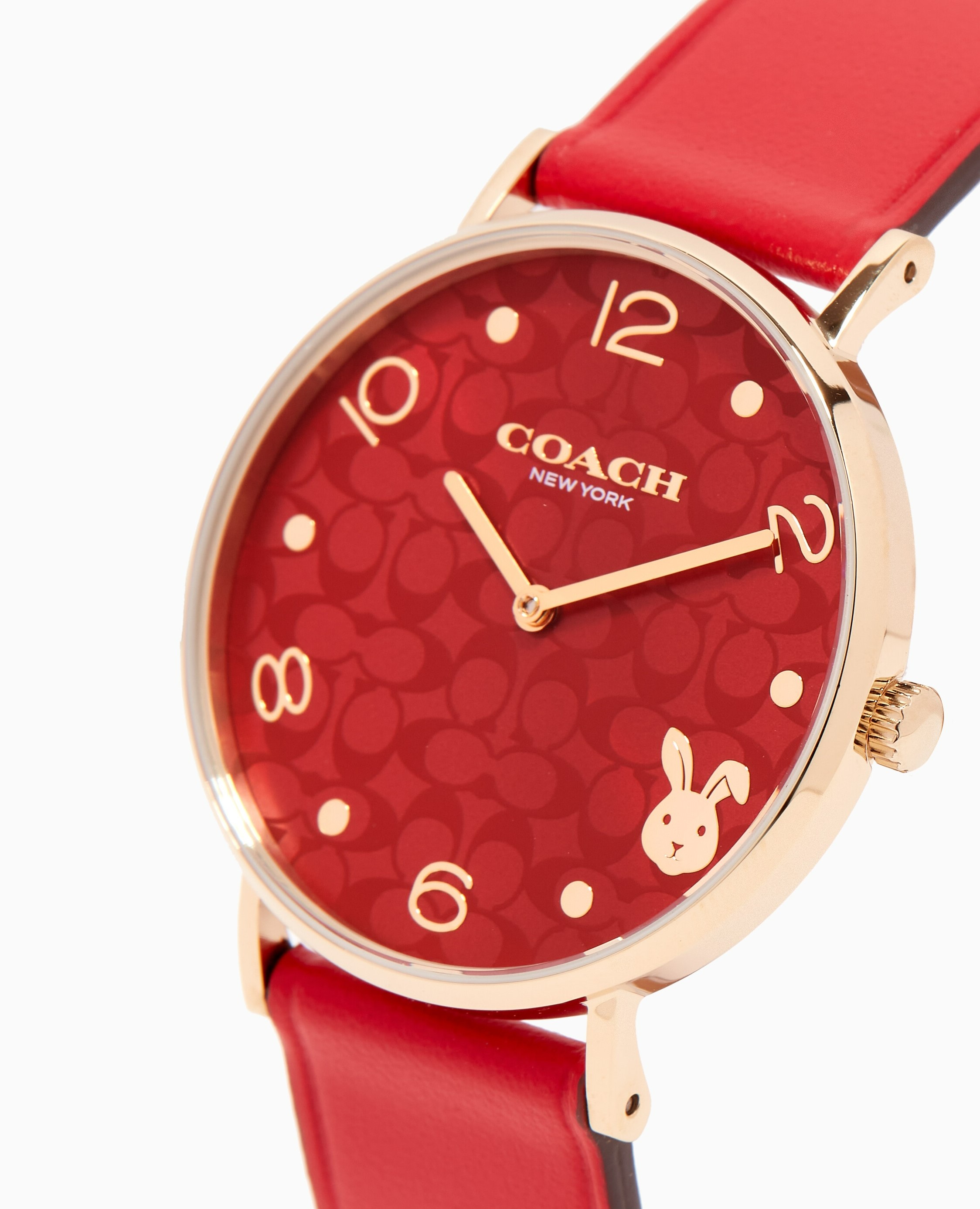 ĐỒNG HỒ NỮ COACH PERRY QUARTZ STAINLESS STEEL LEATHER WATCH 2