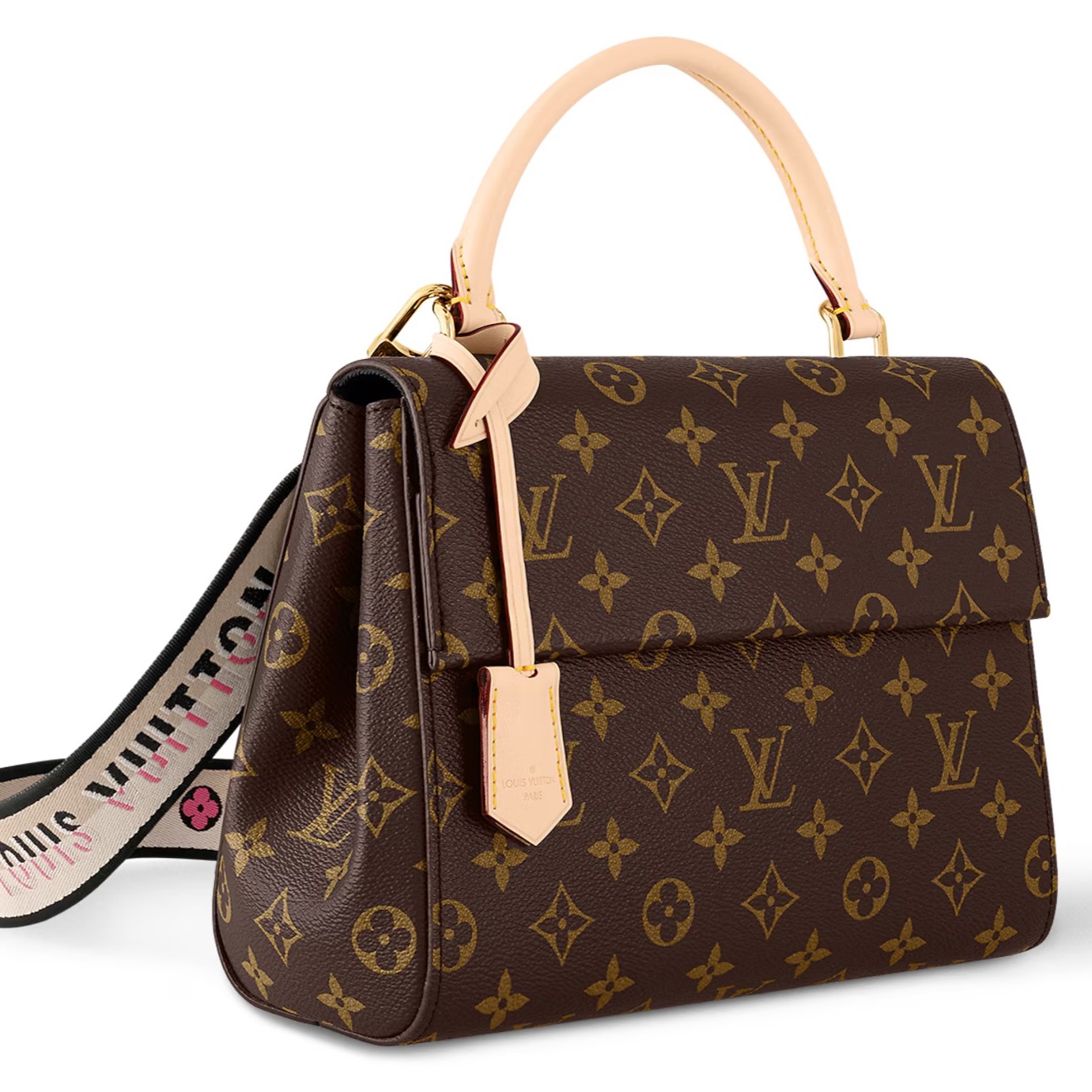 Túi xách nữ Louis Vuitton Cluny BB Monogram Canvas 4