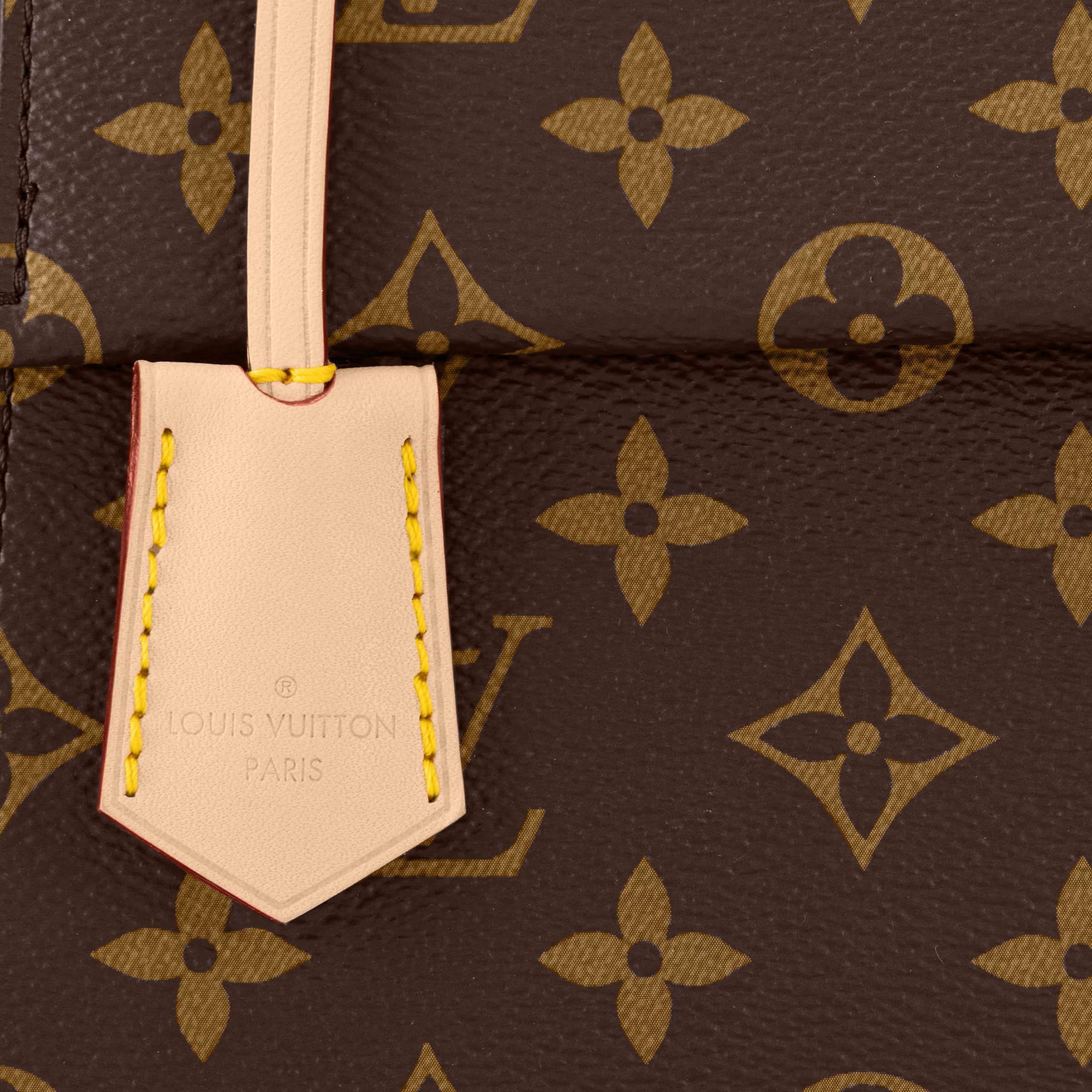 Túi xách nữ Louis Vuitton Cluny BB Monogram Canvas 7