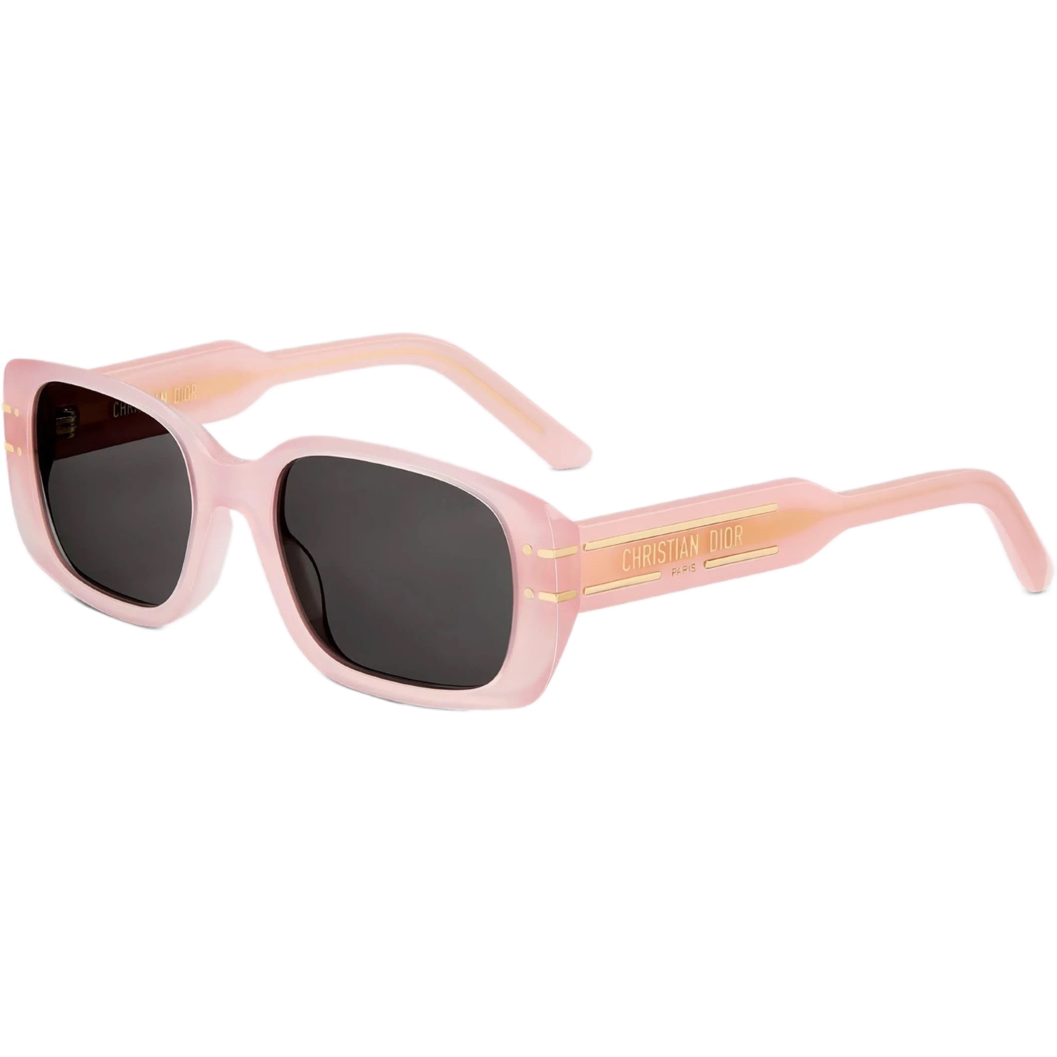 Kính Mát Nữ Dior Diorsignature Sunglasses S12I 40A0 Màu Hồng 6