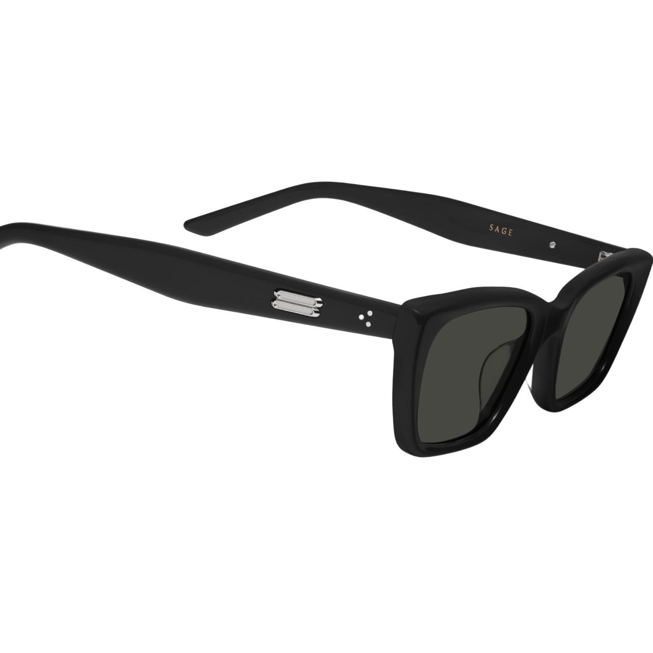 Mắt kính Gentle Monster Sage 01 Cat-Eye Sunglasses in Black Acetate 7