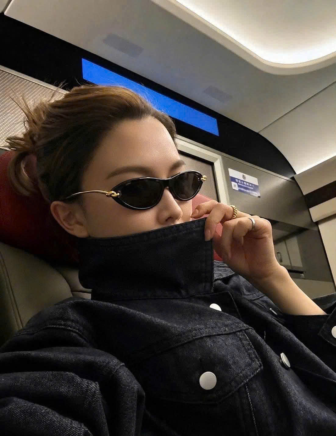 Kính mát Bottega Veneta Retro Narrow Cat Eye Sunglasses BV1390S 001 9