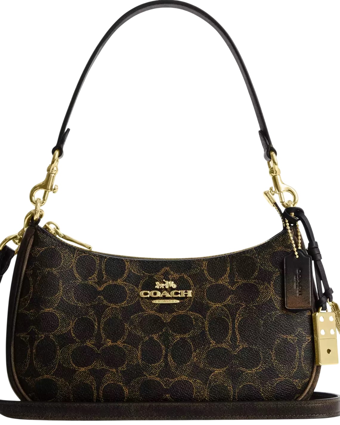 Túi Coach Teri Shoulder Bag In Loved Signature Canvas With Charms CDY18 2