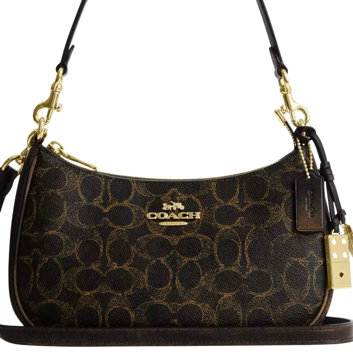 Túi Coach Teri Shoulder Bag In Loved Signature Canvas With Charms CDY18 4