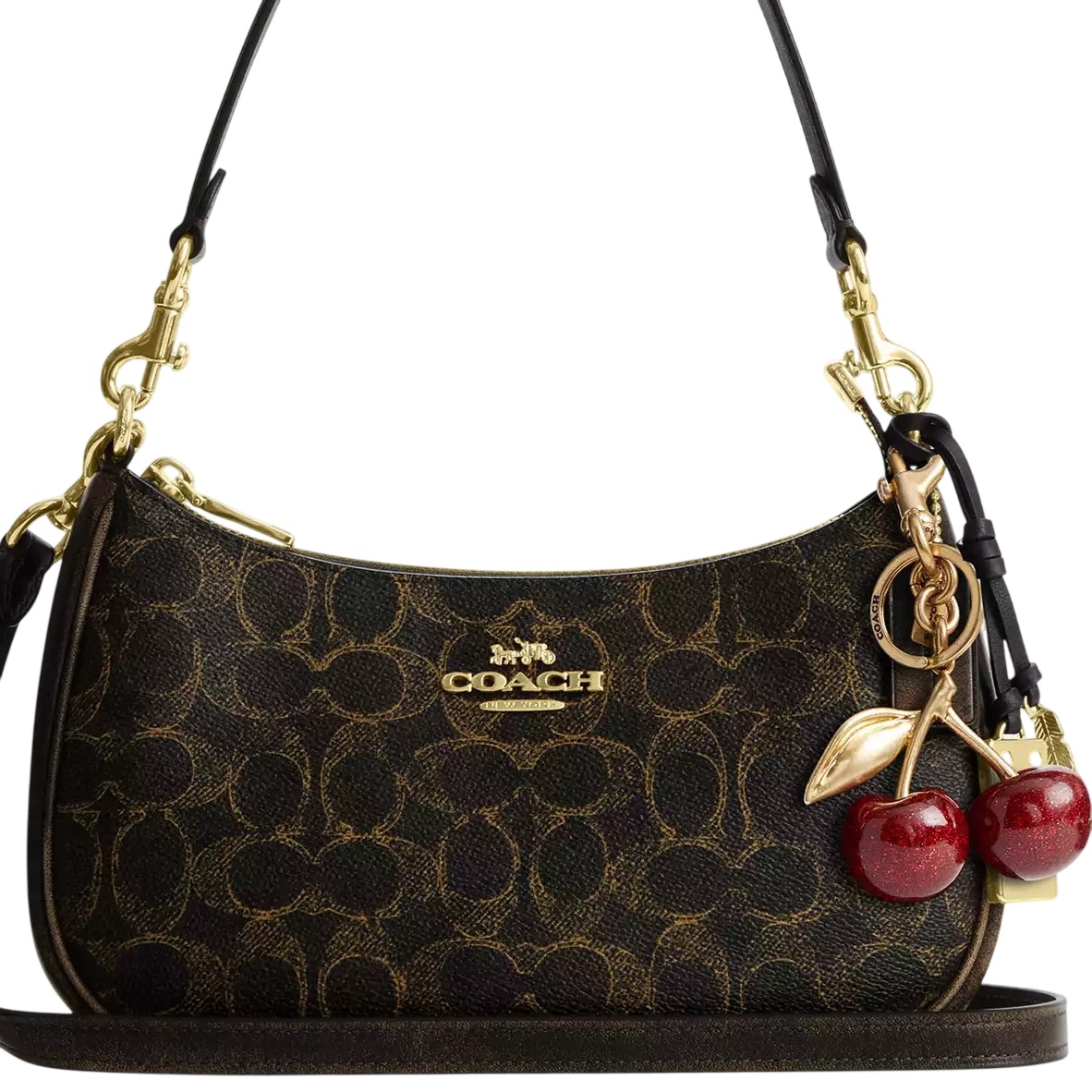 Túi Coach Teri Shoulder Bag In Loved Signature Canvas With Charms CDY18 7