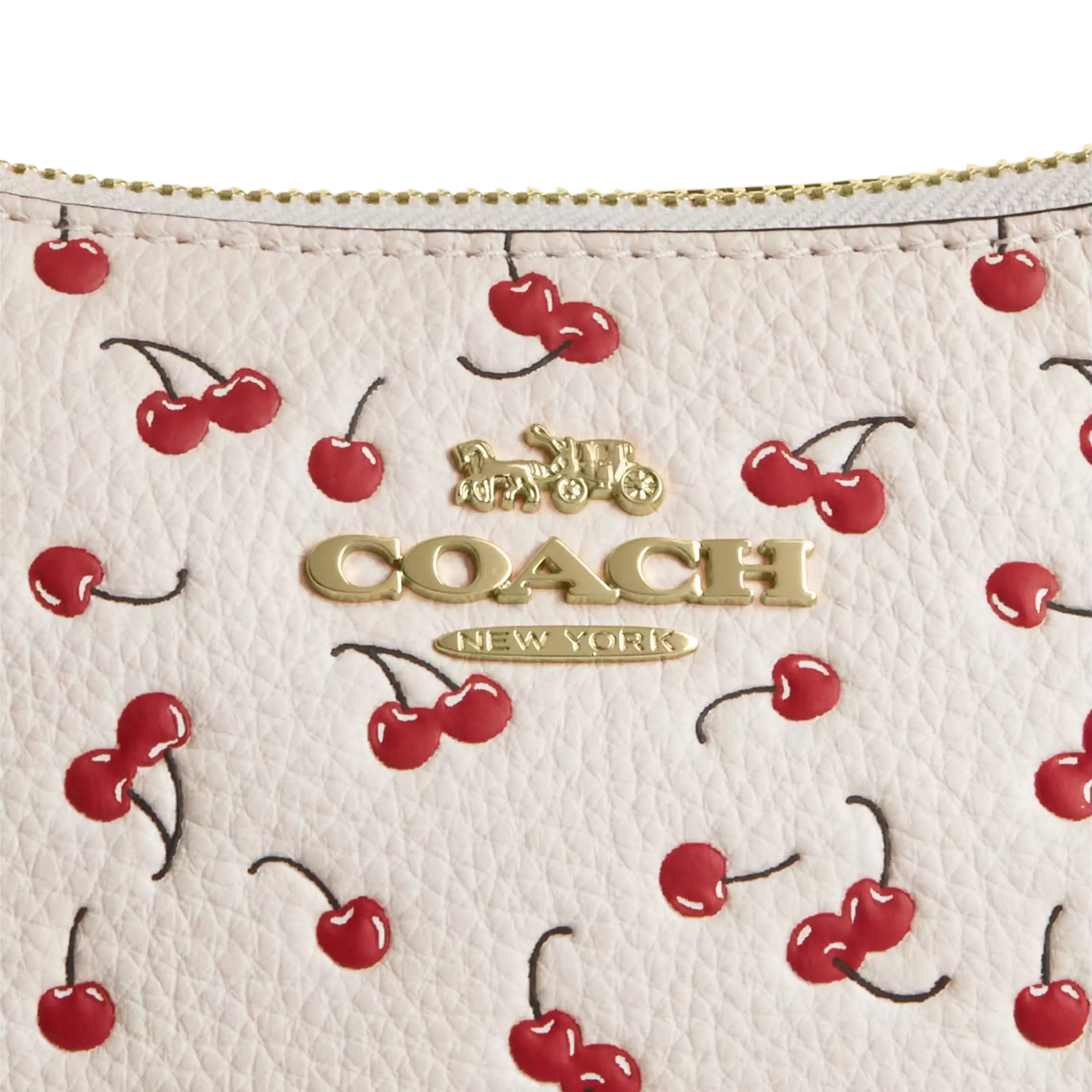 Túi đeo vai Coach Teri Shoulder Bag With Cherry Print CFG01 1
